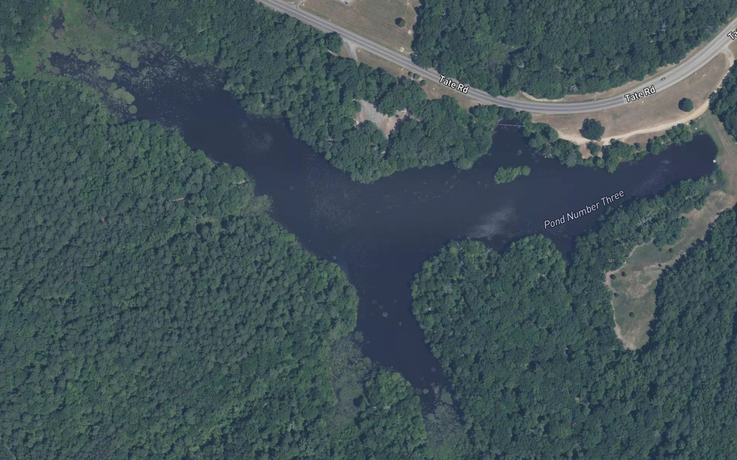 Pond Number Three