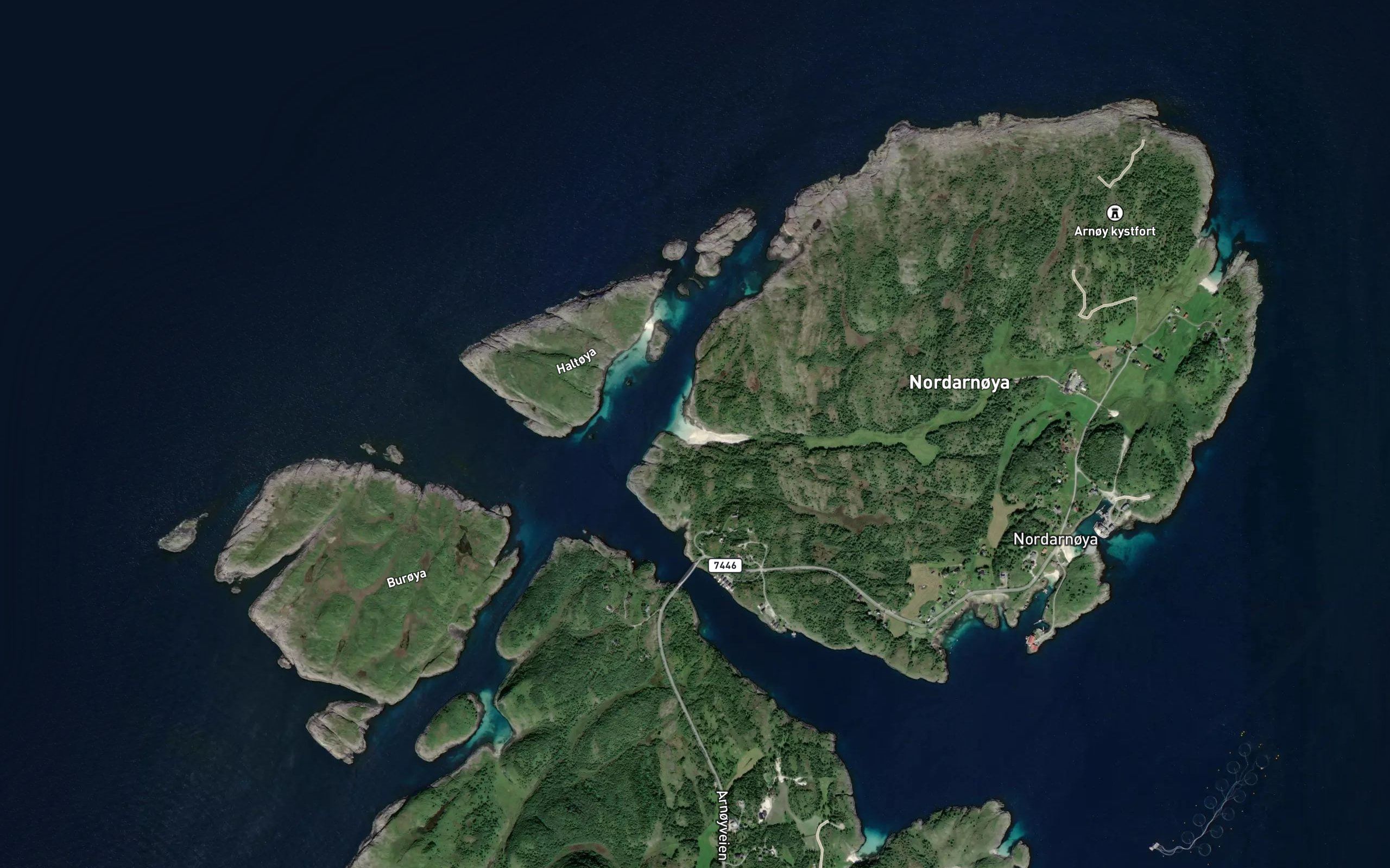 Skivika
