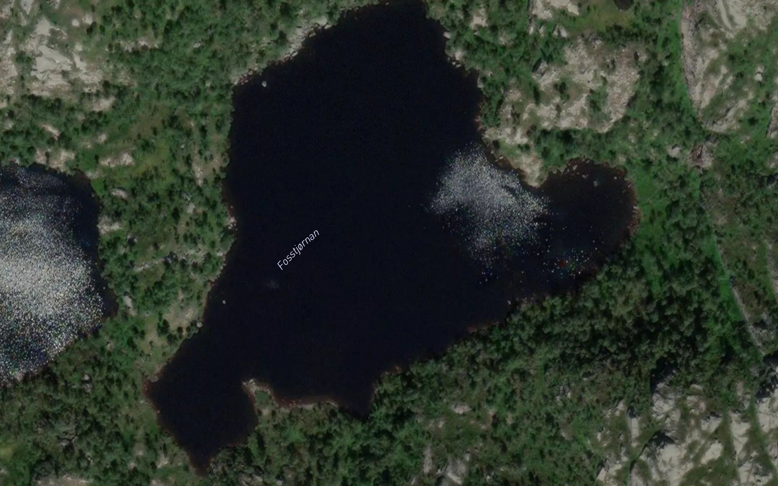 Fosstjornene