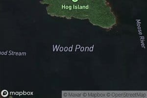 Wood Pond
