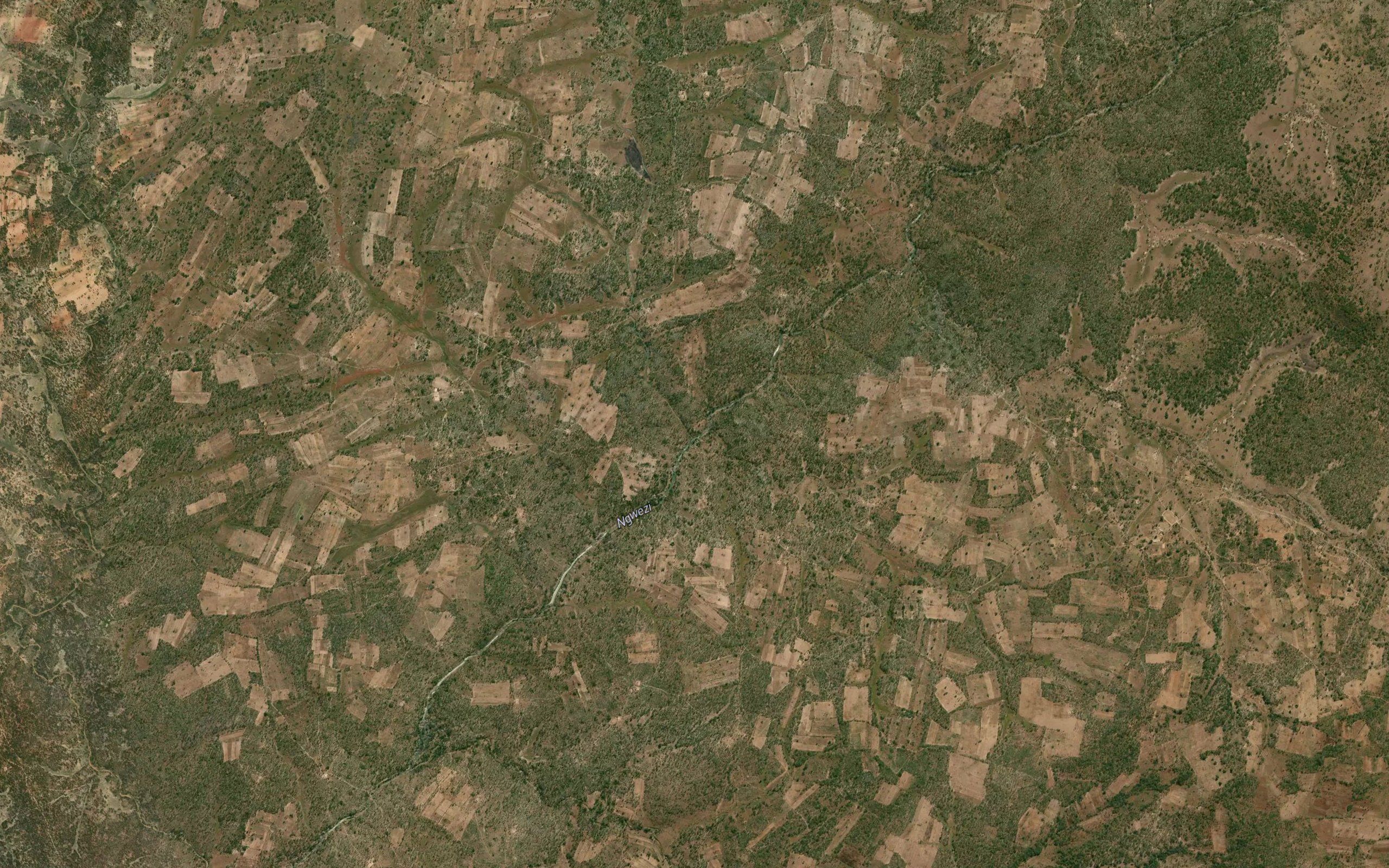Chinkozia
