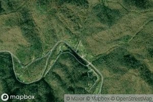 Muriel Branch