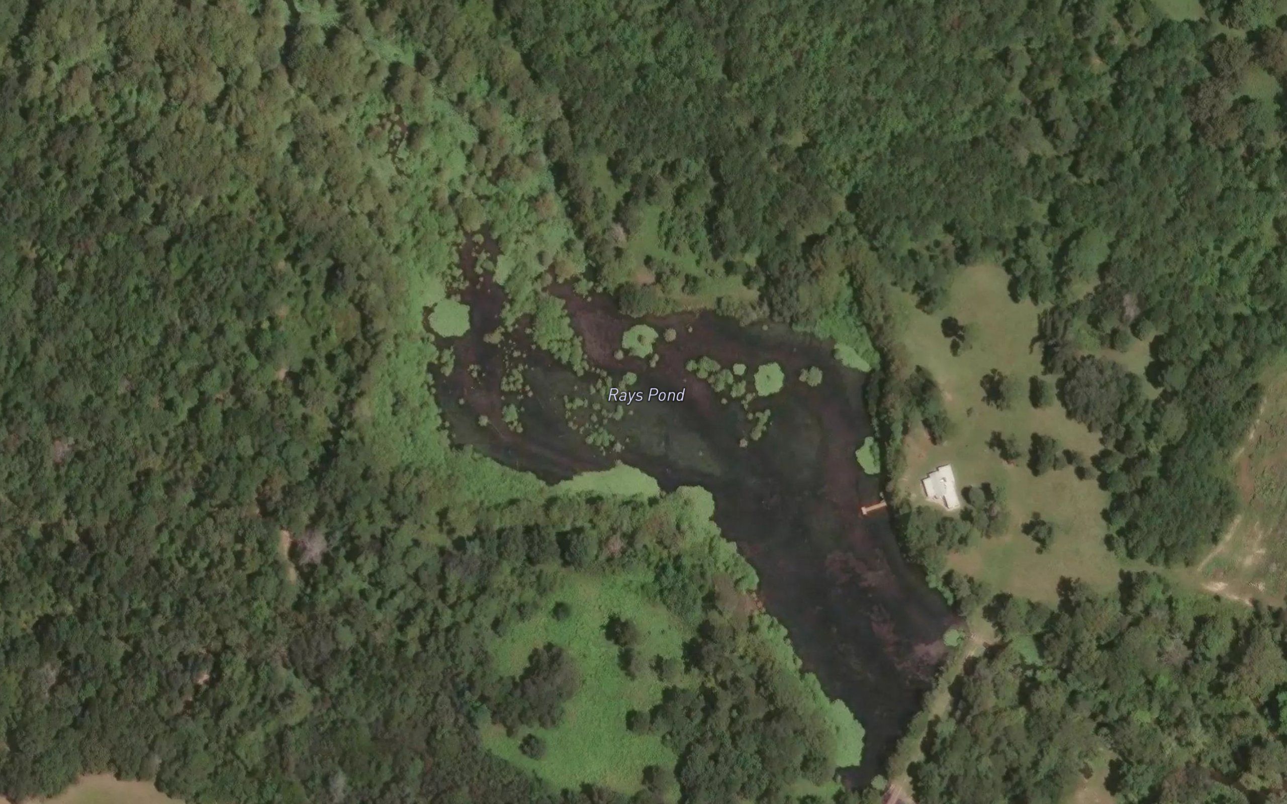 Rays Pond