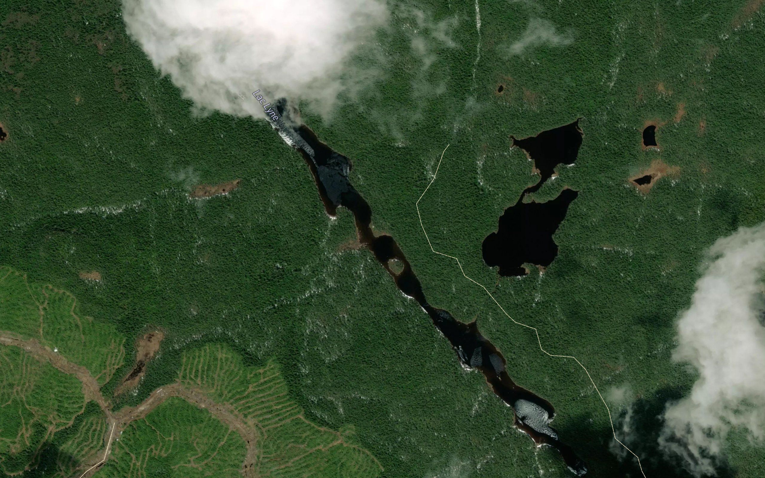 Lac Lyne