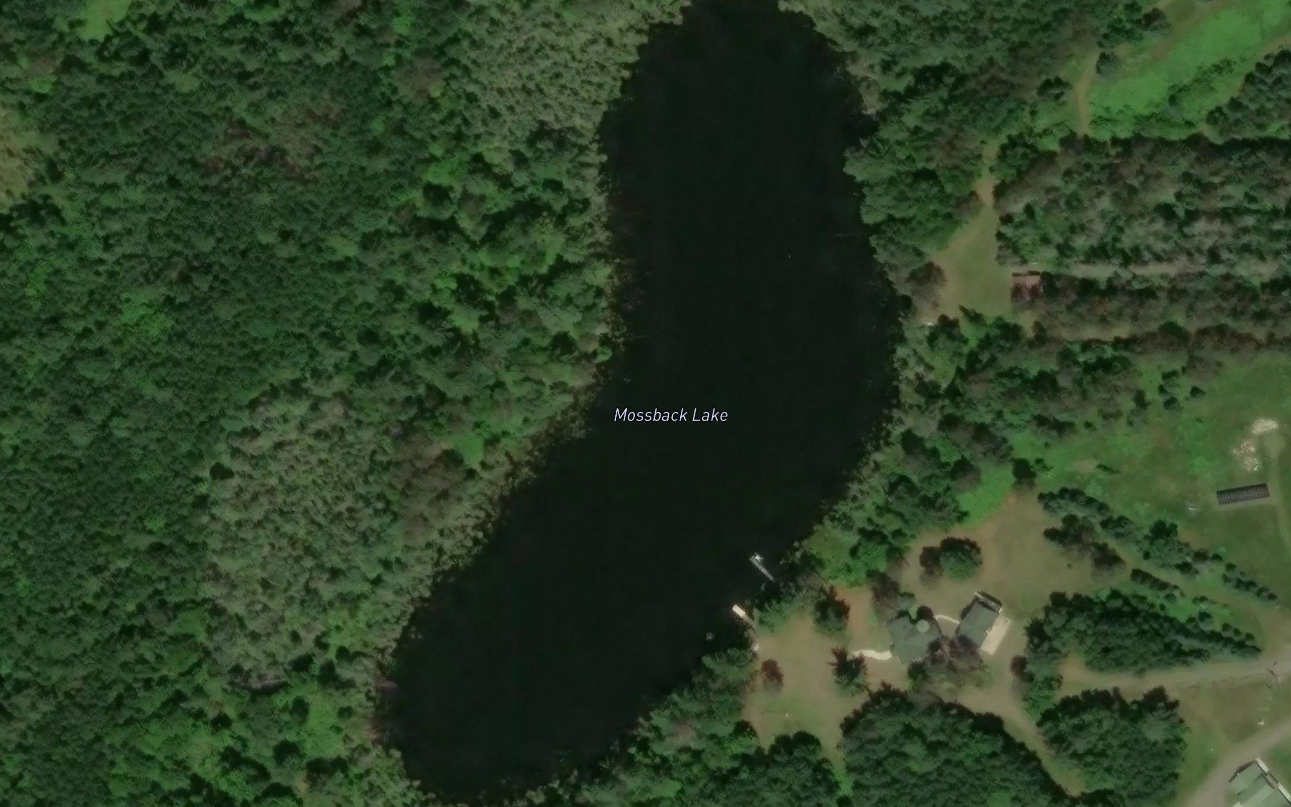 Mossback Lake