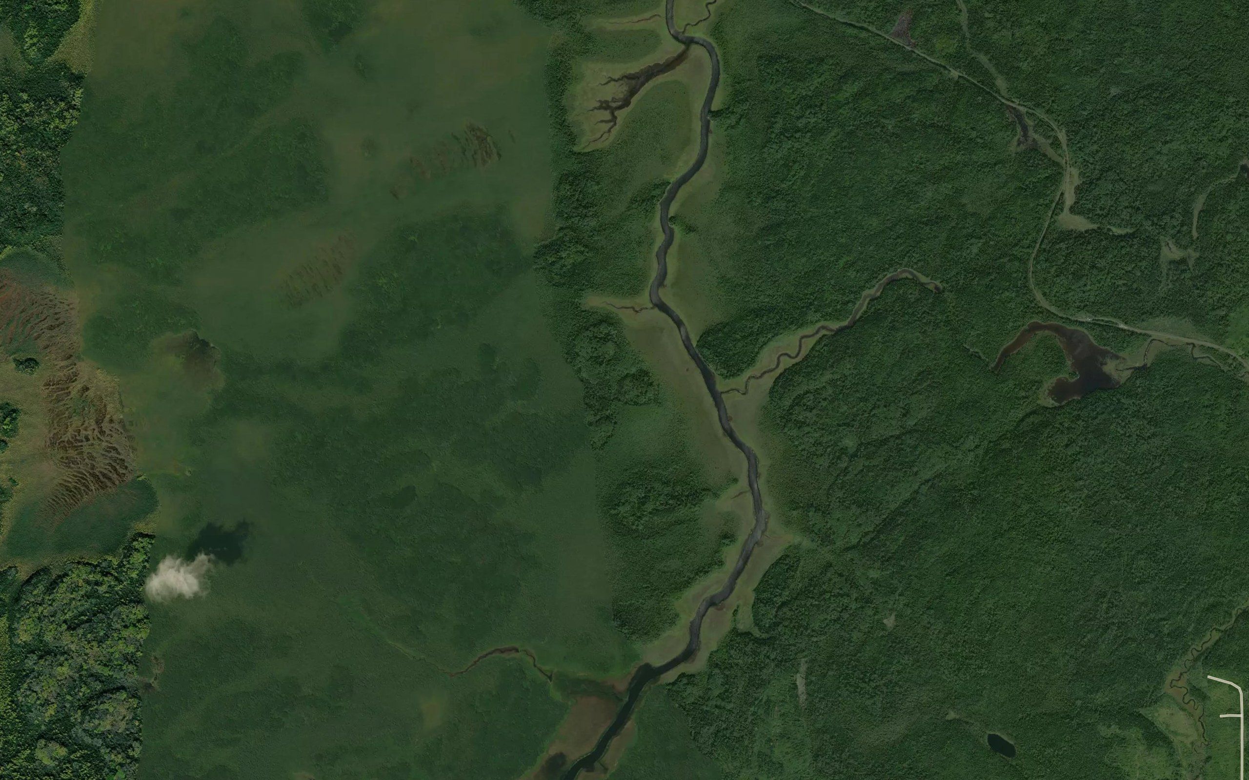 Shiners Creek