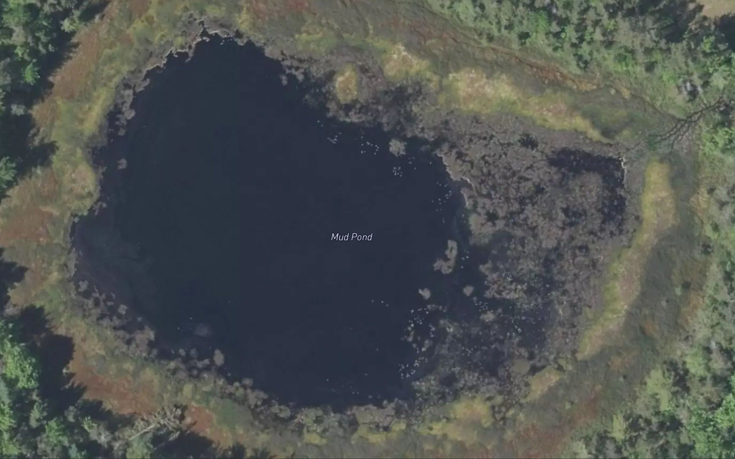 Mud Pond