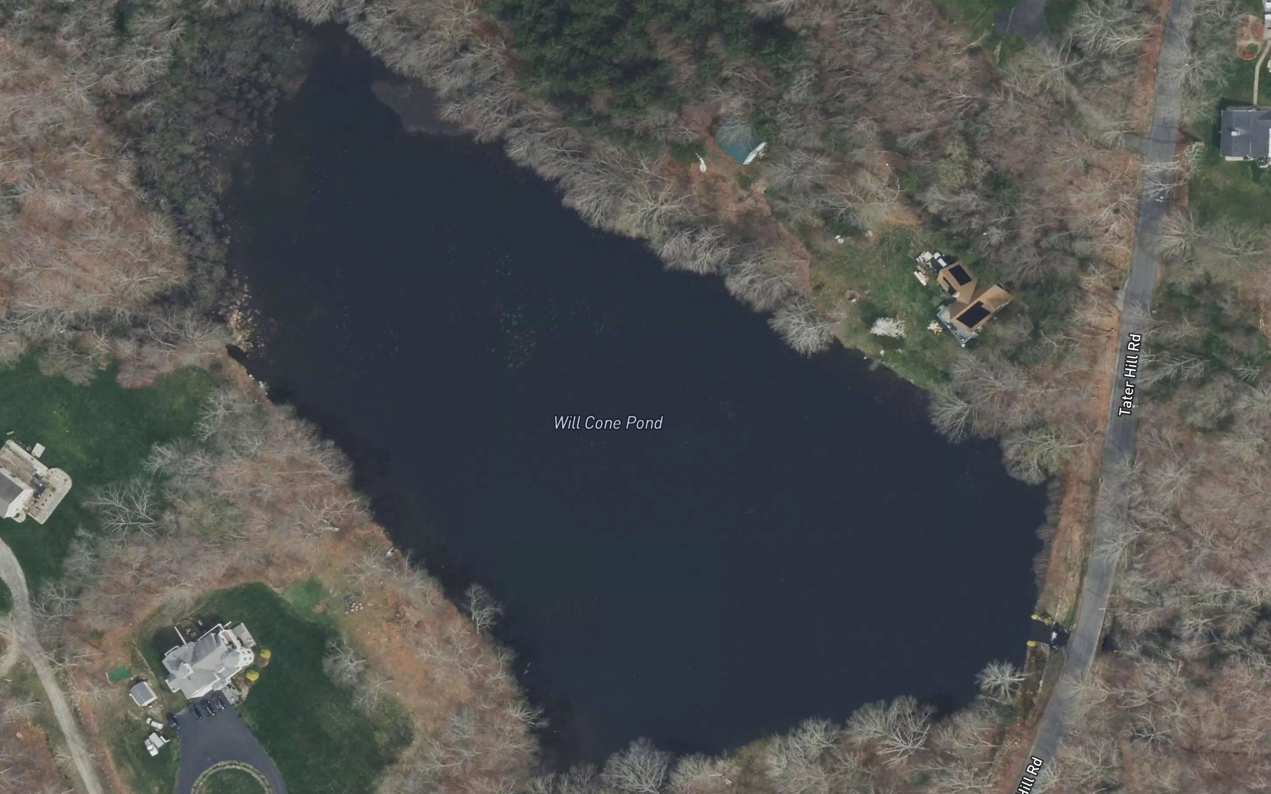 Will Cone Pond
