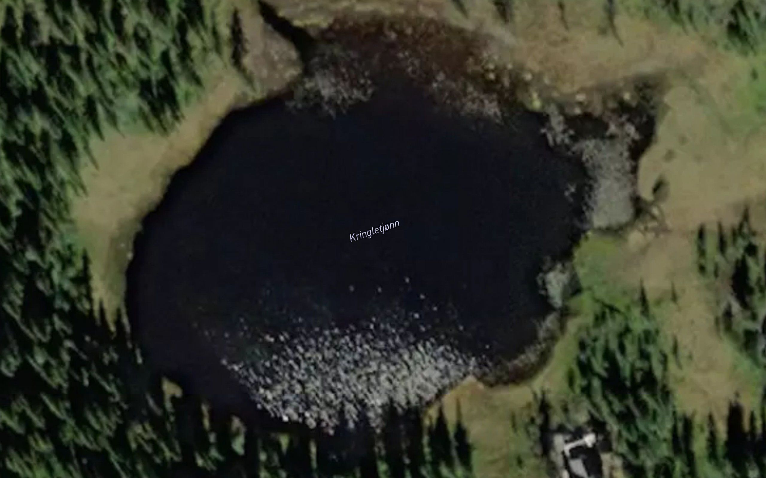 Kringletjonn