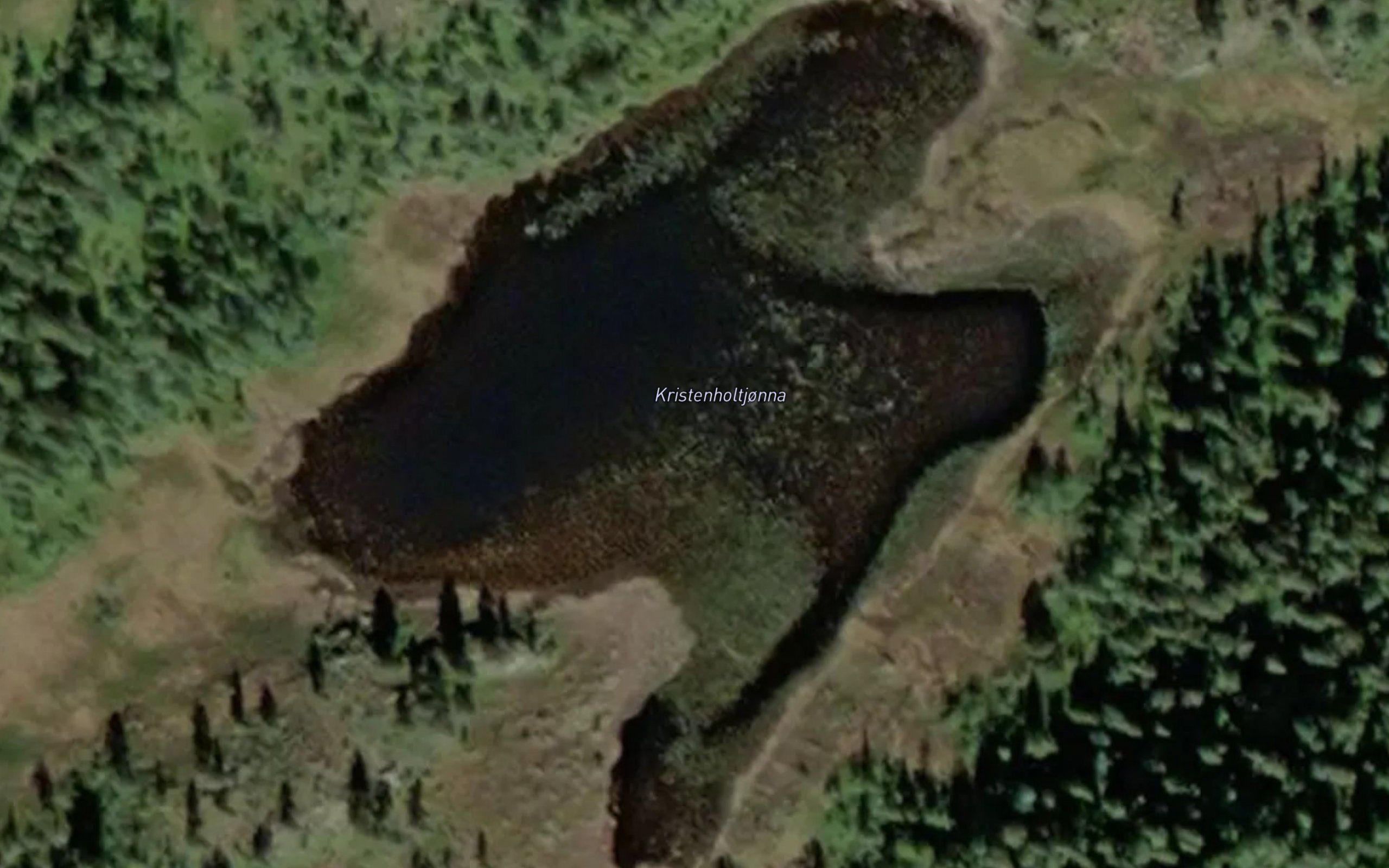 Kristenholtjorna