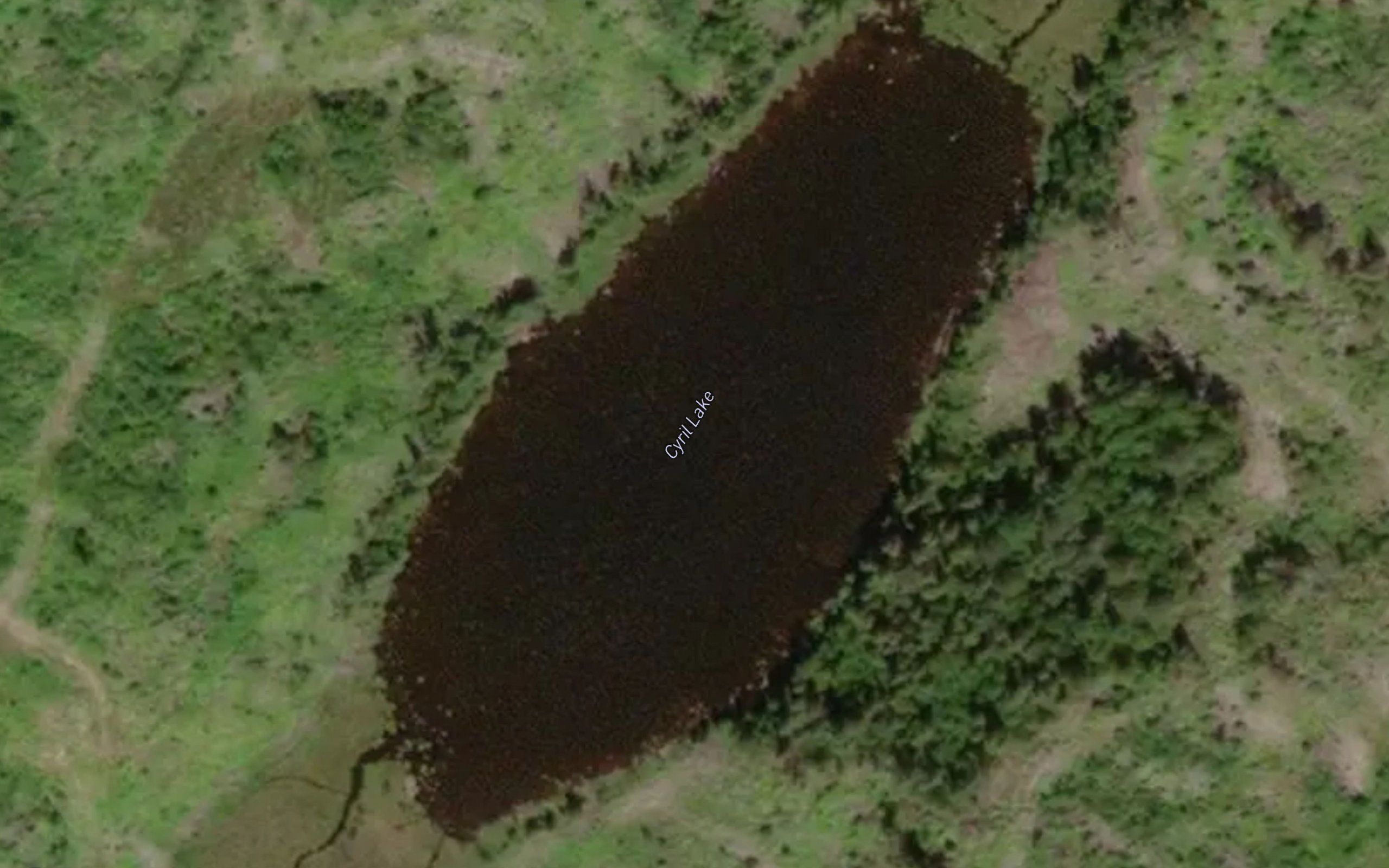 Cyril Lake
