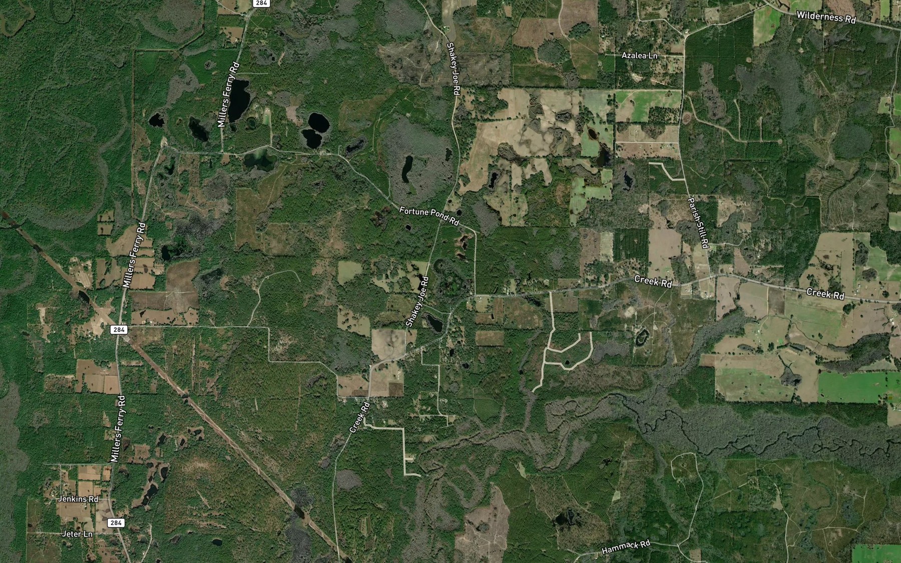 Satellite map of the Fortune Lake