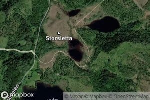 Rabbartjorna