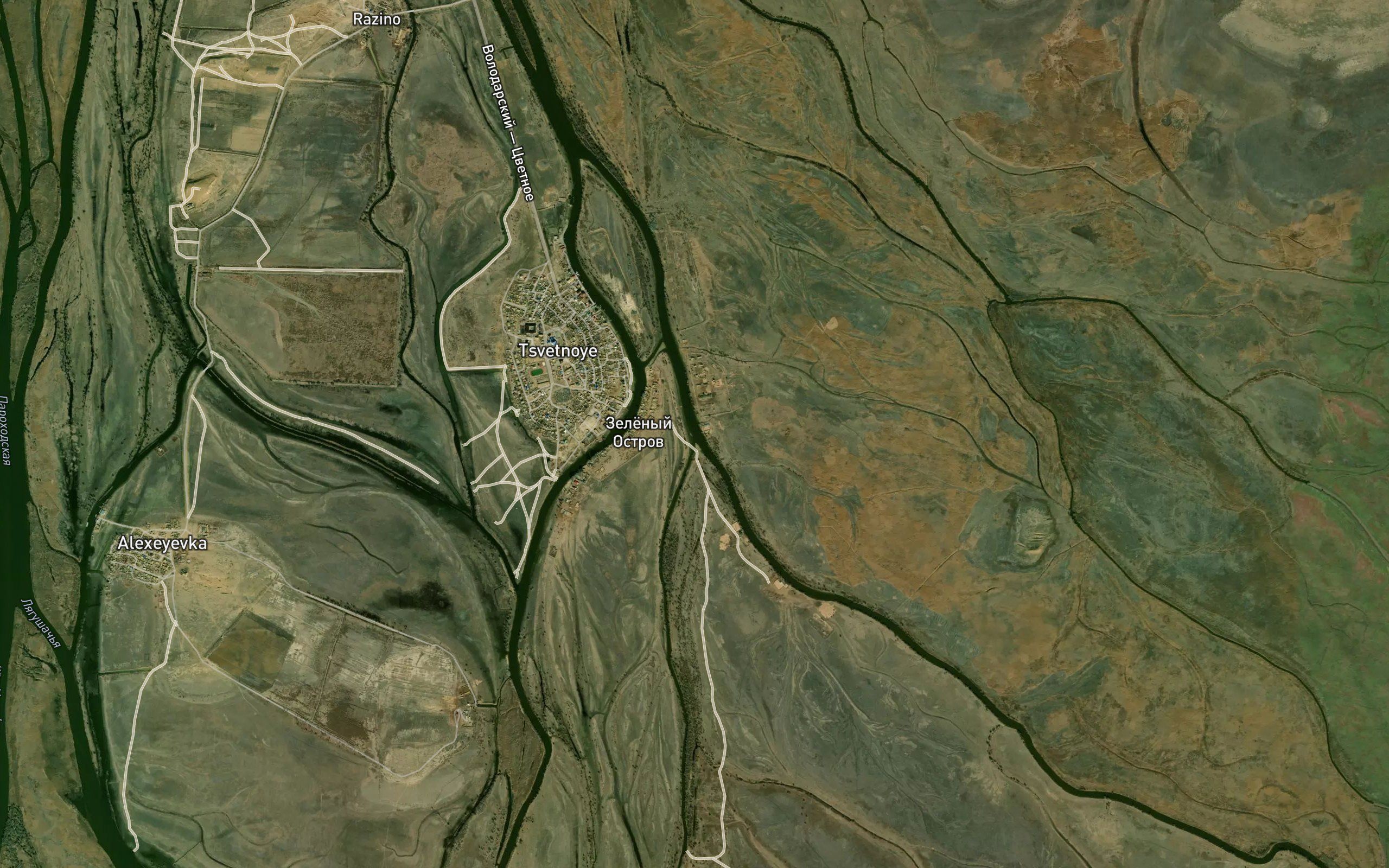 Kalich'ya