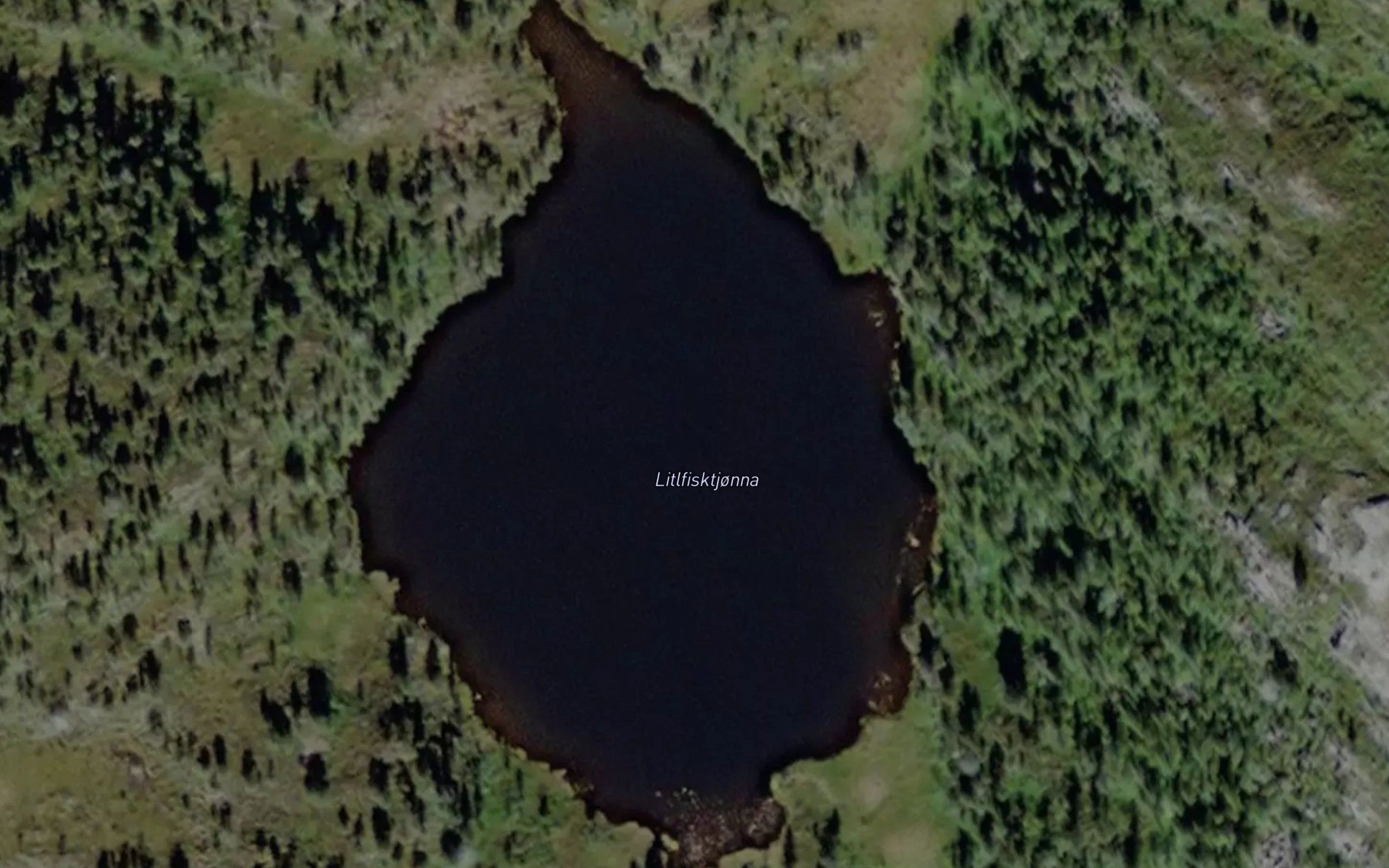 Litl-Fisktjorna