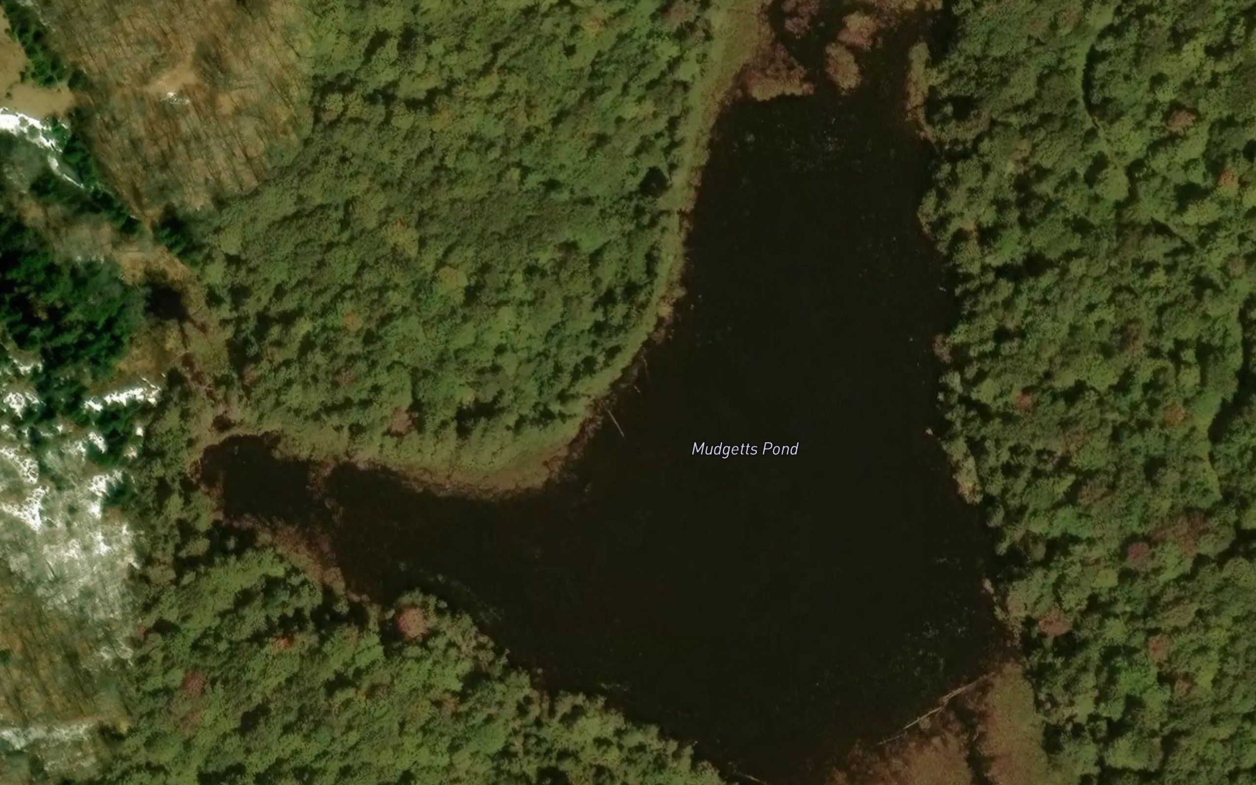 Mudgetts Pond