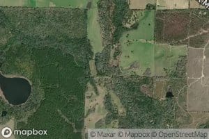 Mack Branch