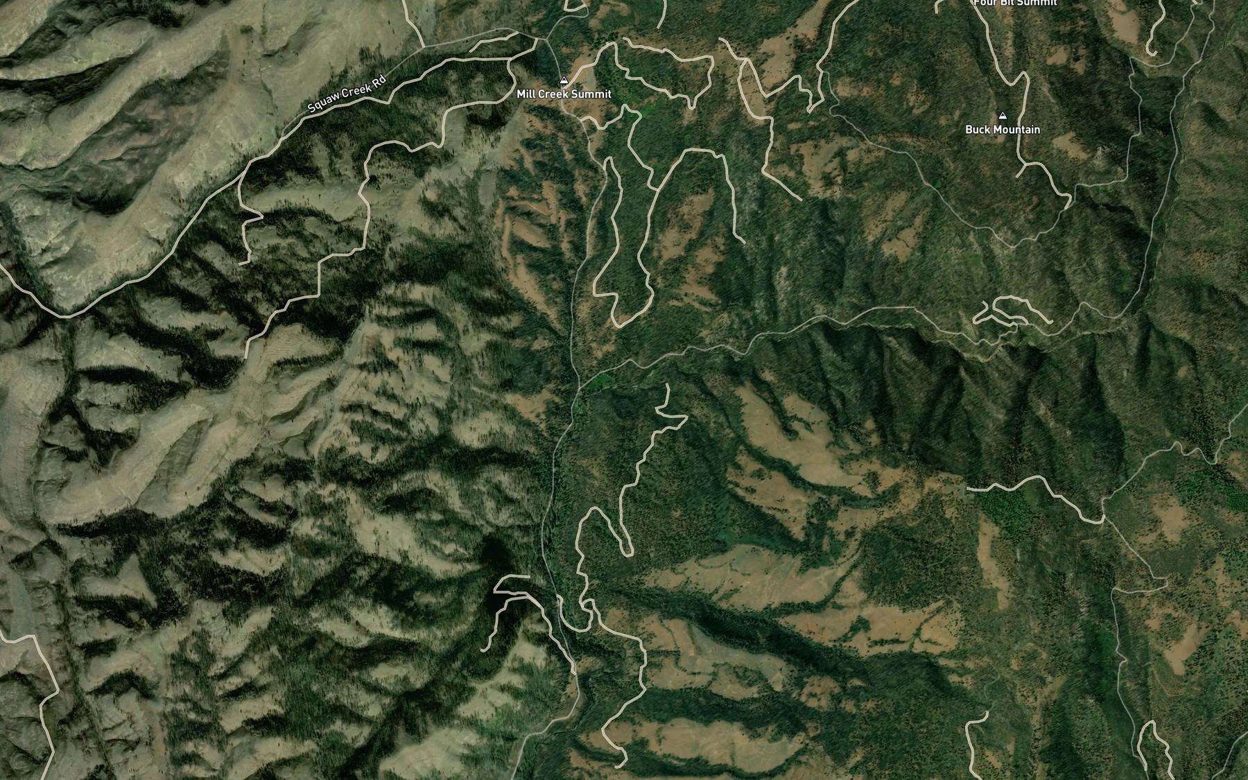 Satellite map of the Cold Spring Creek