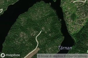 Tarnan