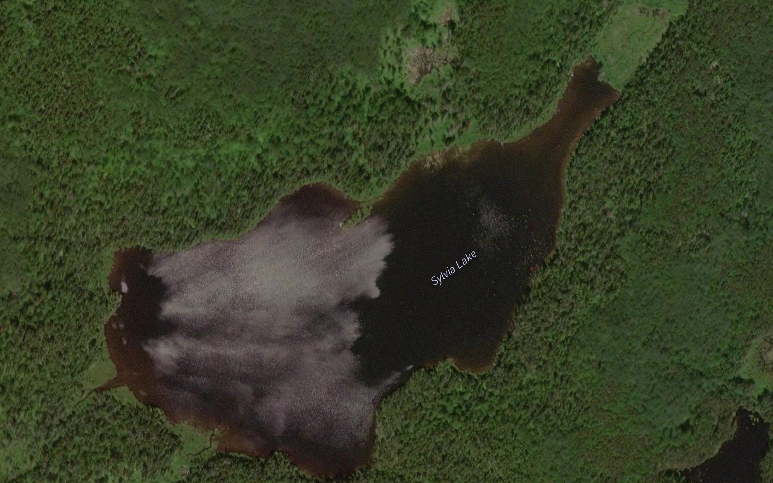 Sylvia Lake