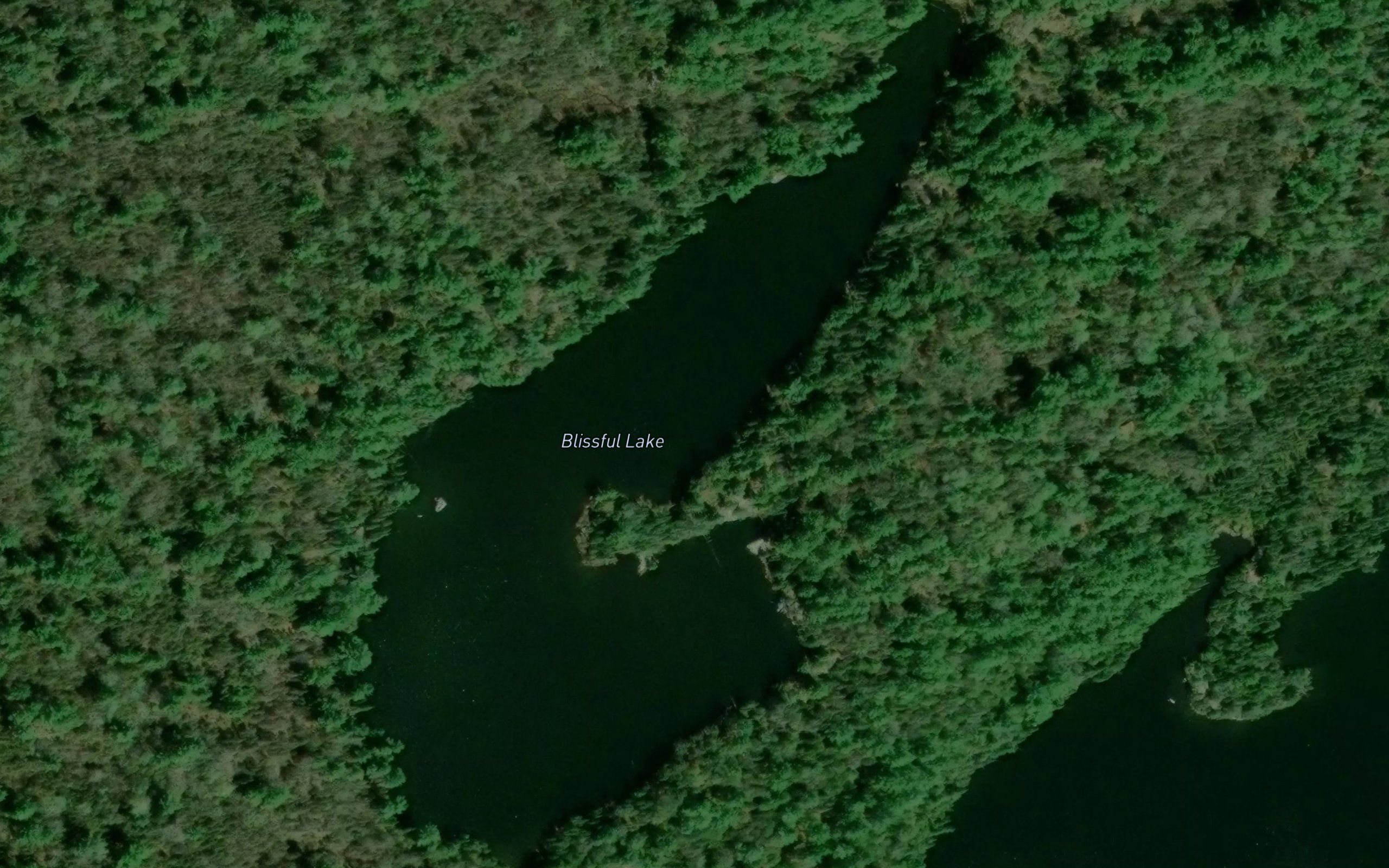 Blissful Lake