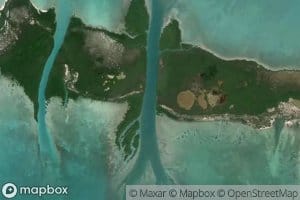 Canalizo Aguardiente