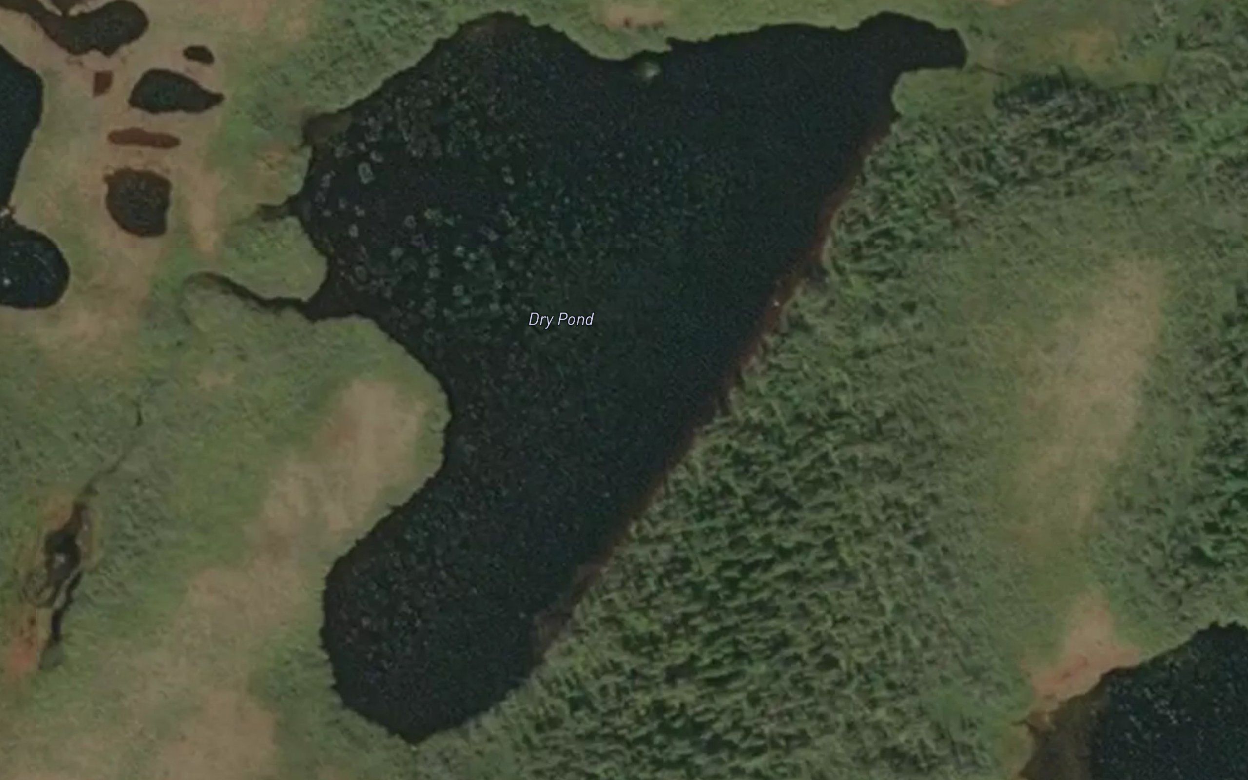 Dry Pond