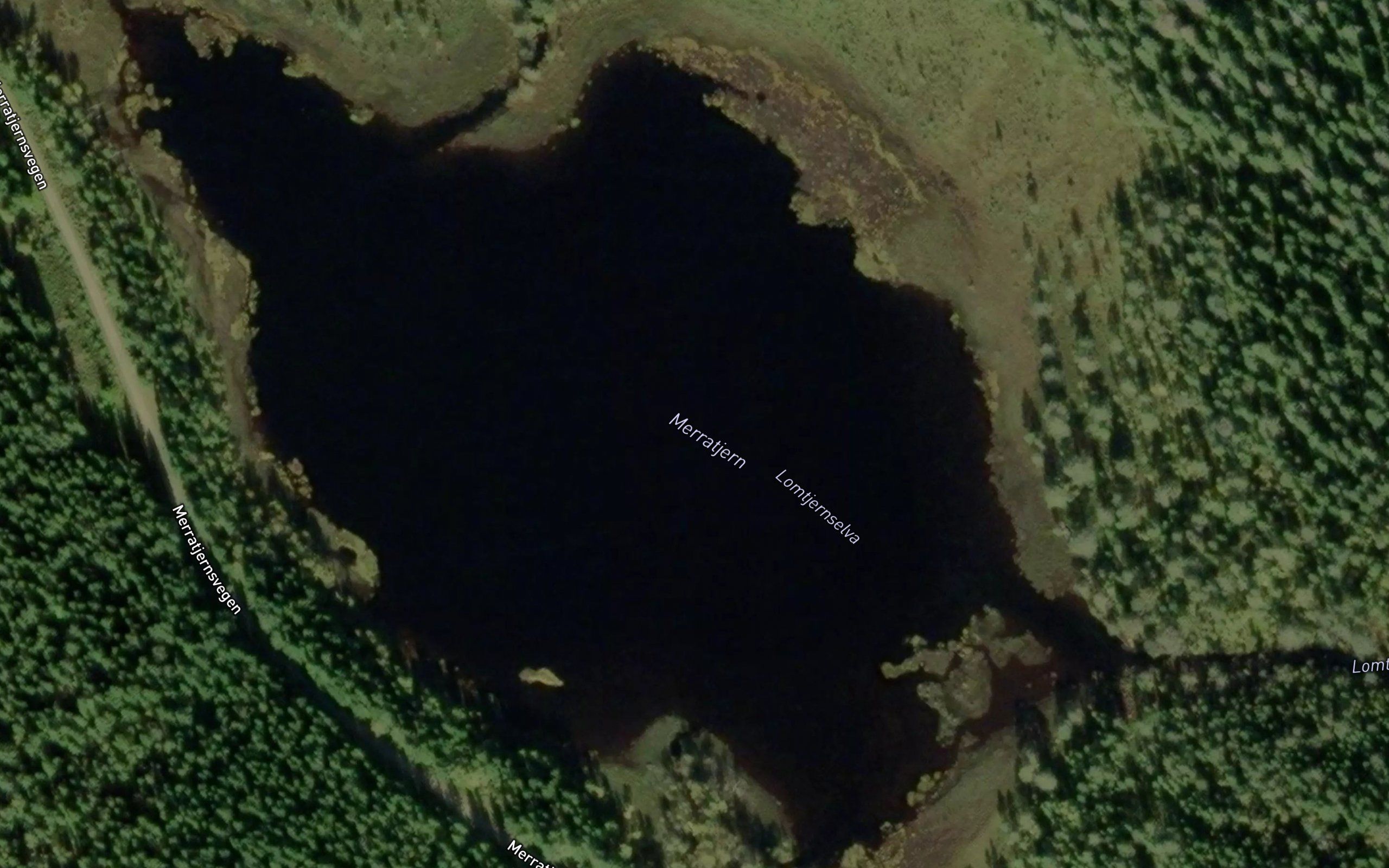 Merratjernet