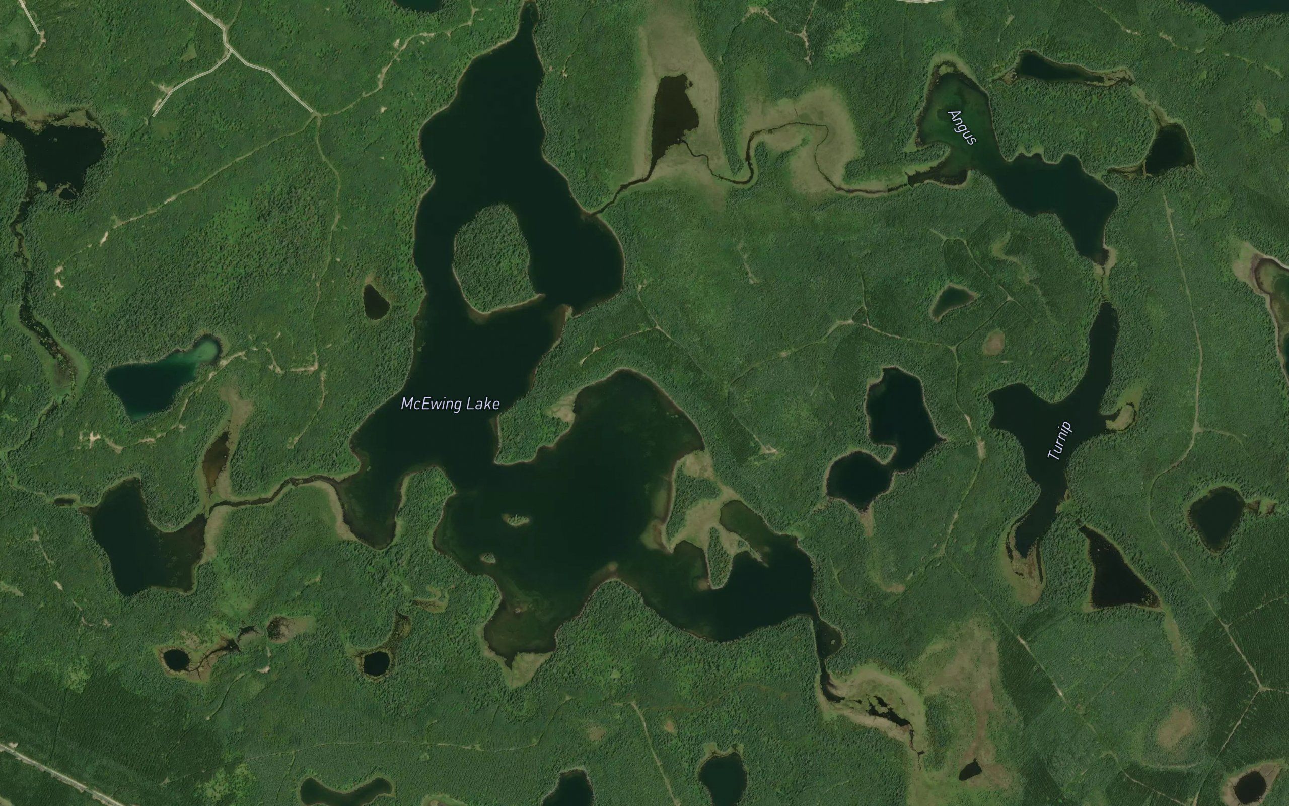 McEwing Lake