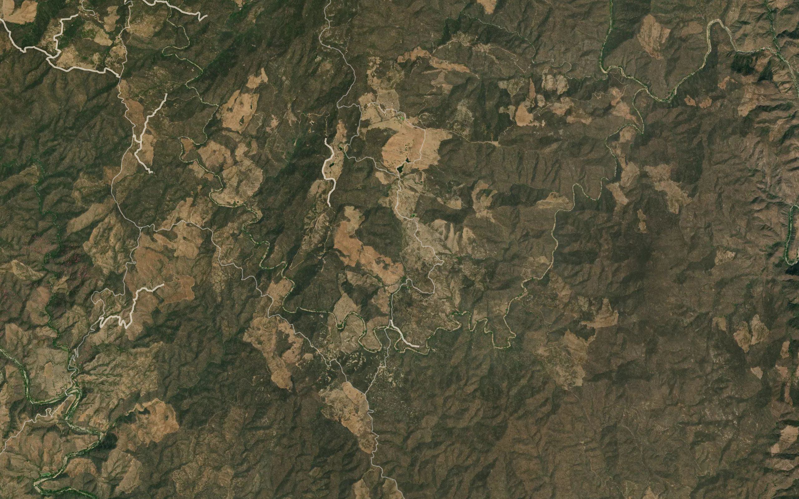 Barranca Los Mojos