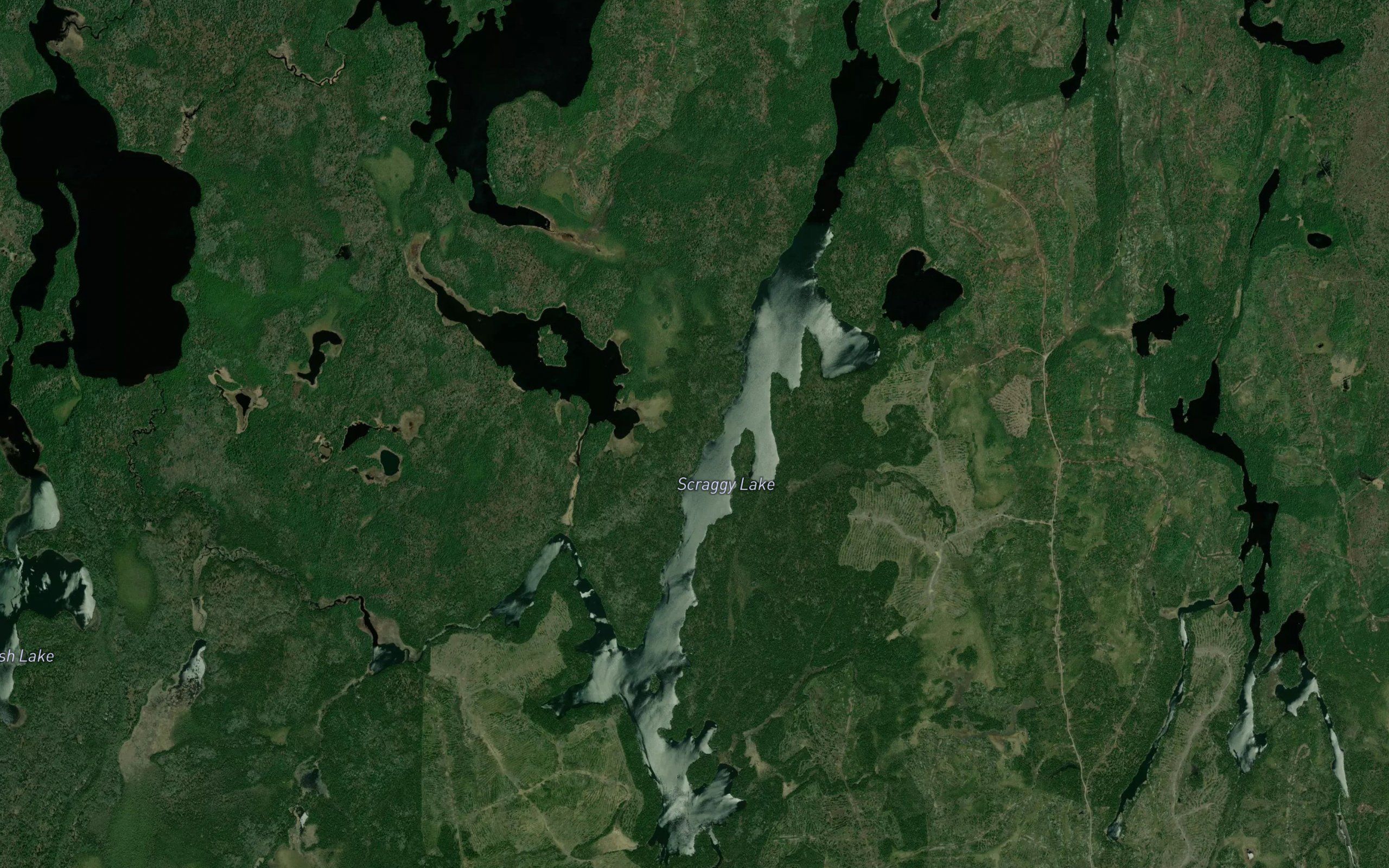 Scraggy Lake