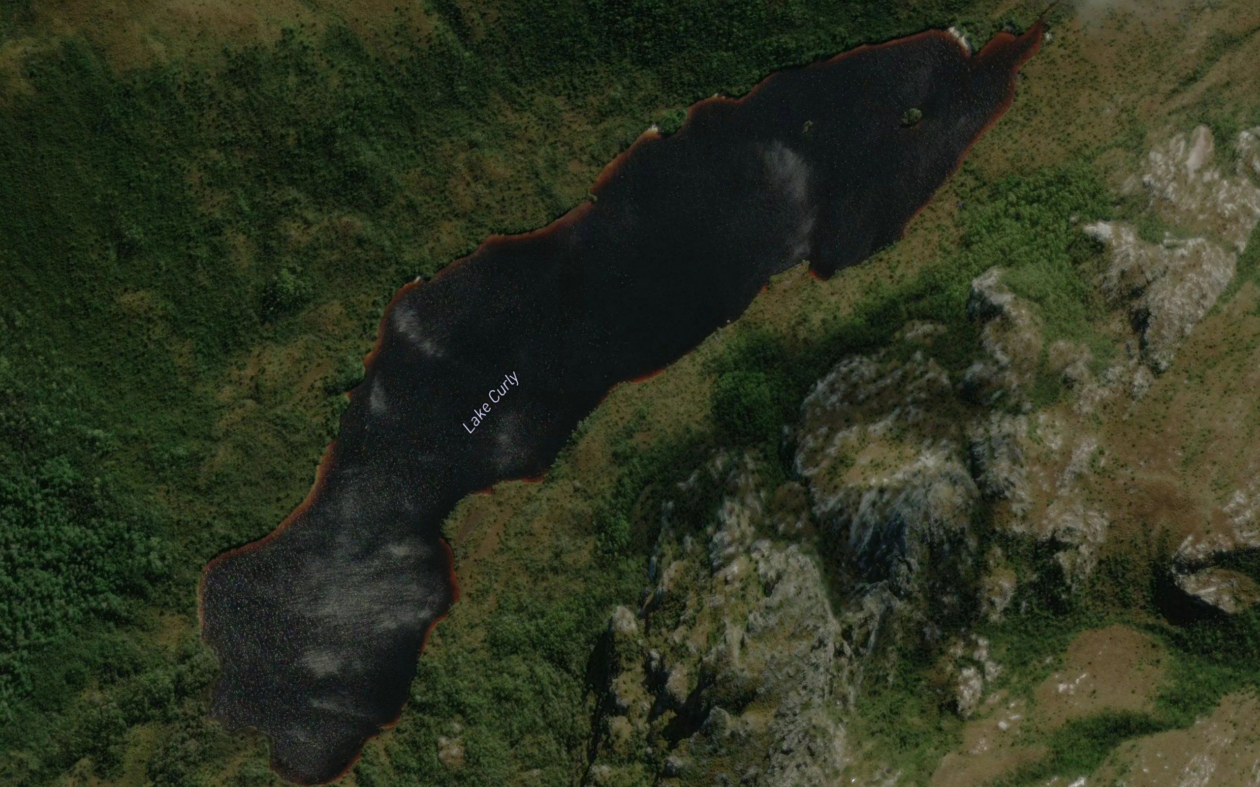 Lake Curly