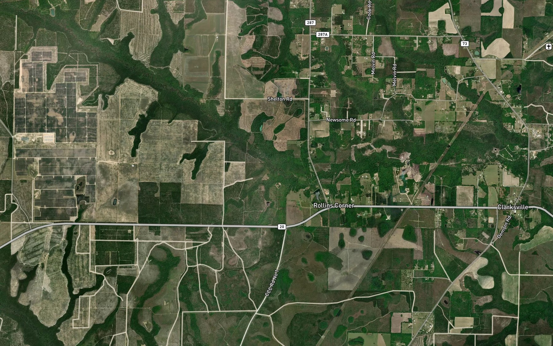 Satellite map of the Palmetto Branch