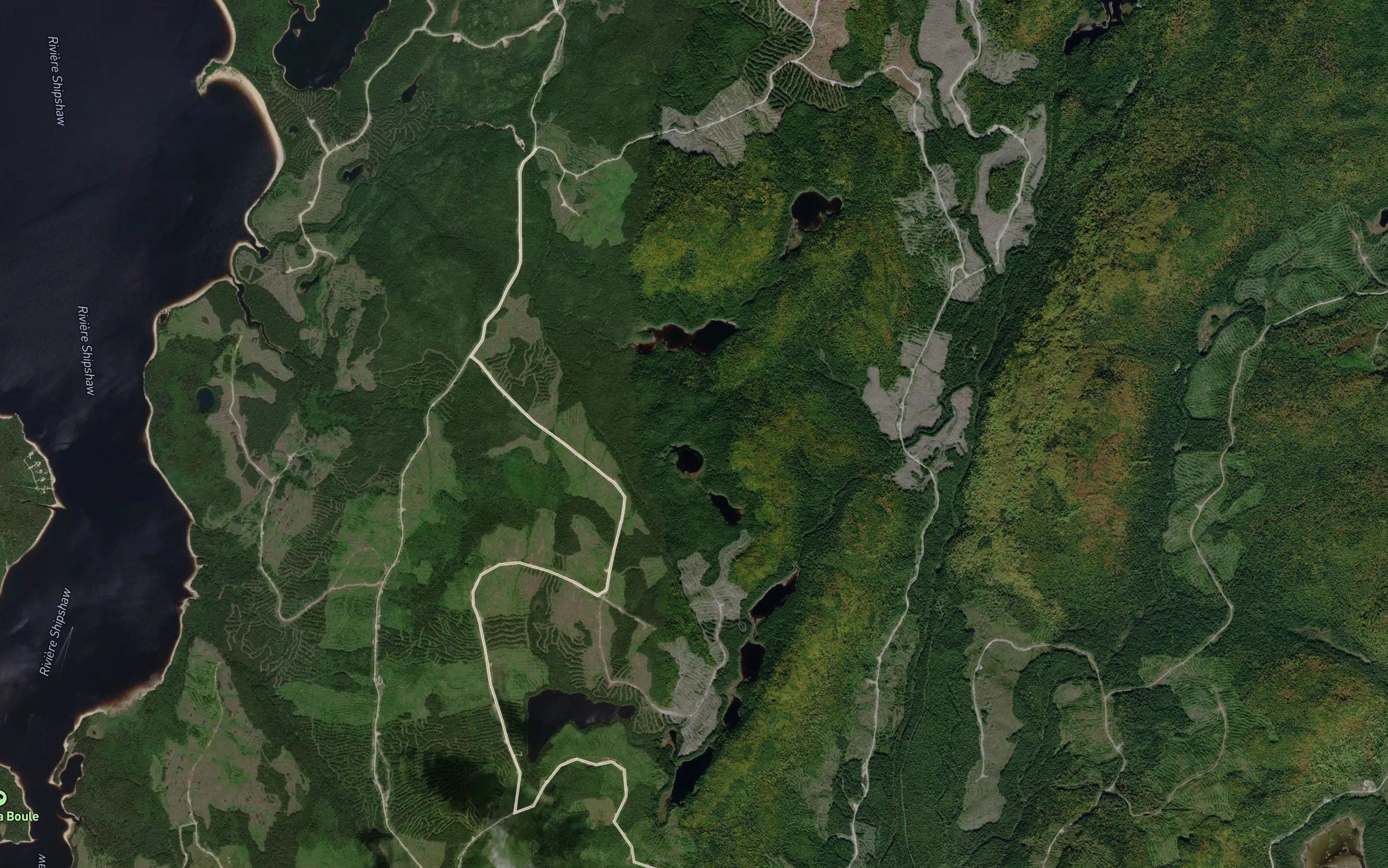 Lac Napate