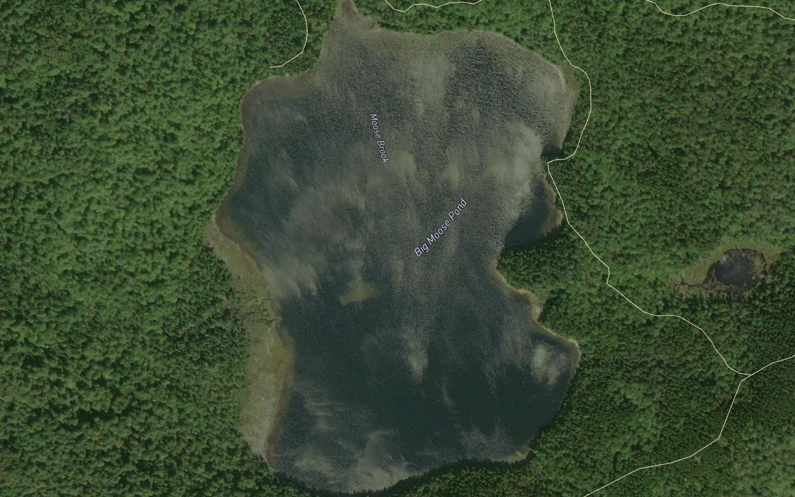 Big Moose Pond