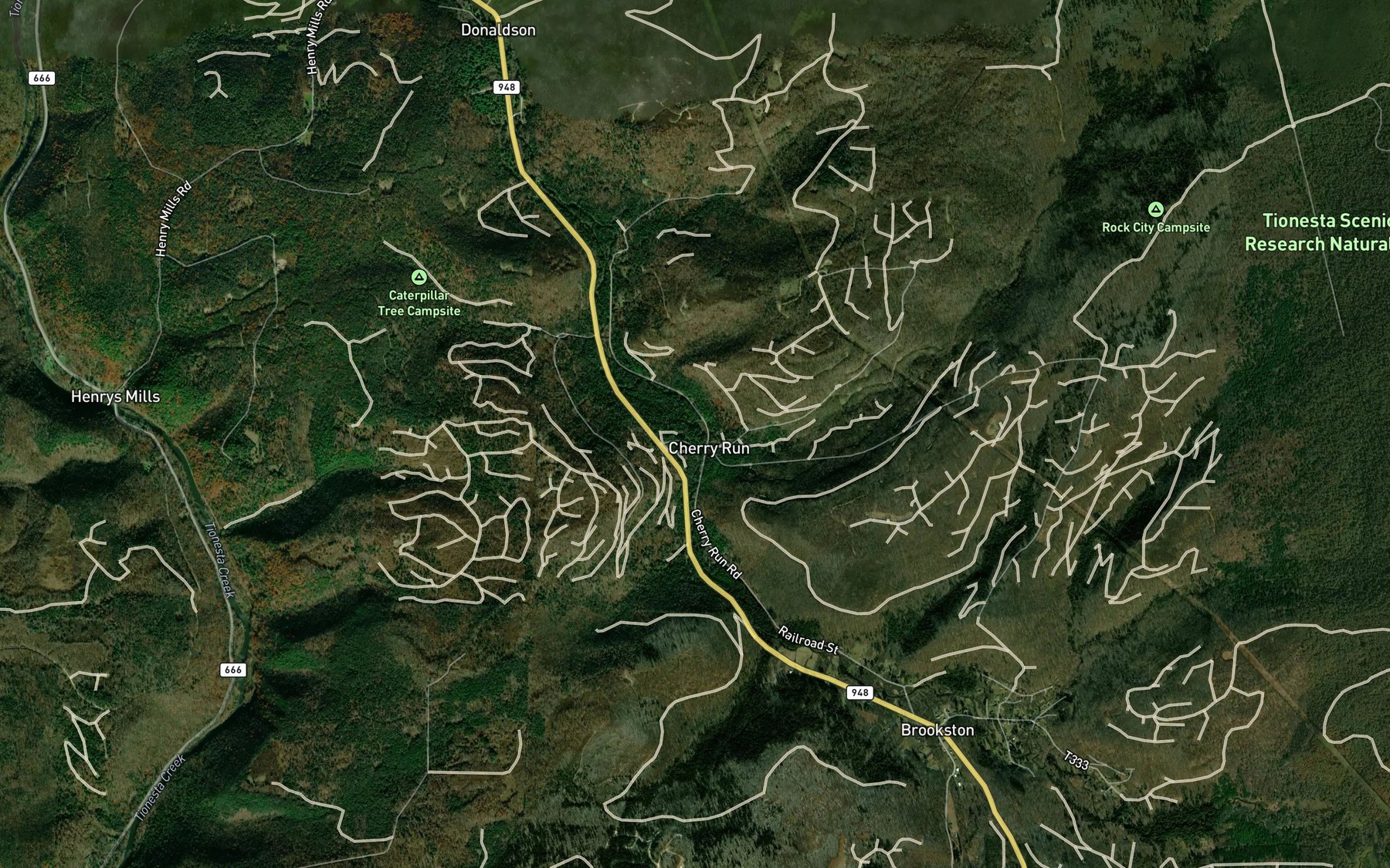 Satellite map of the Cherry Run