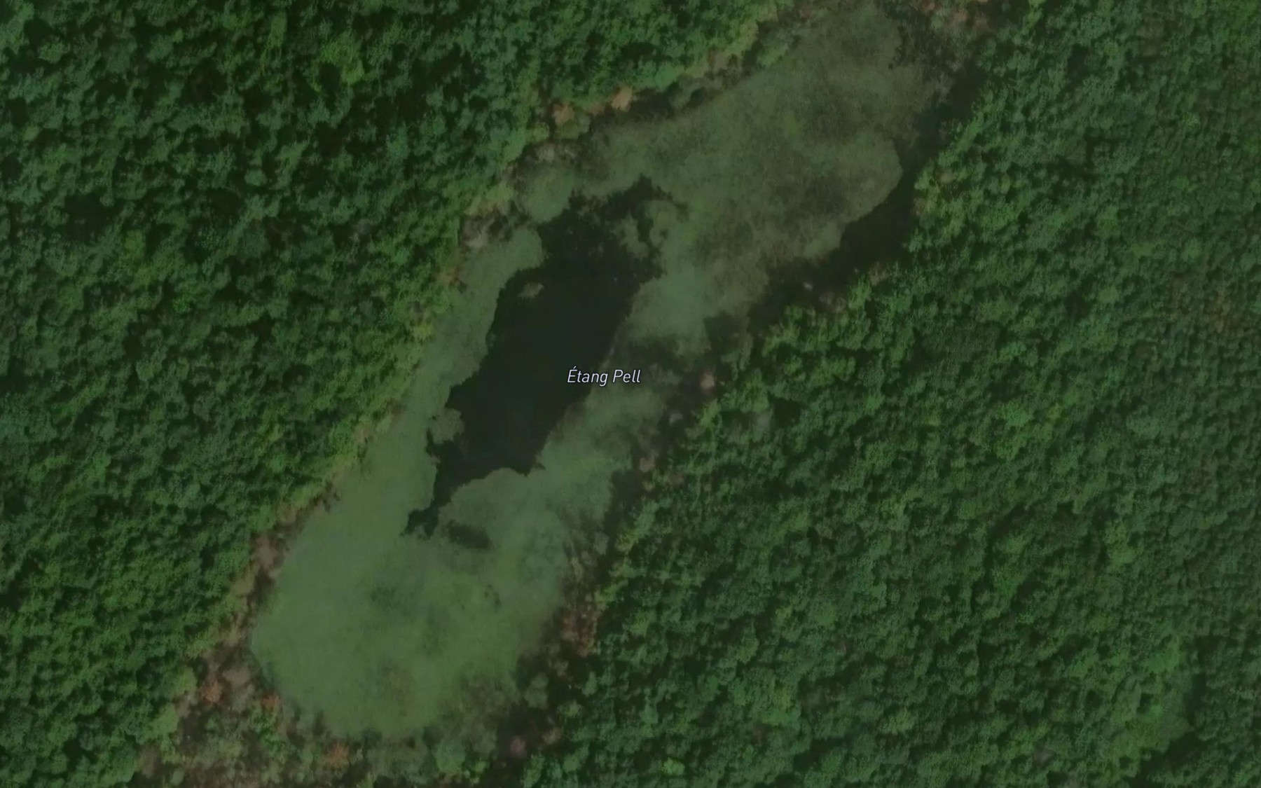 Satellite map of the Etang Pell