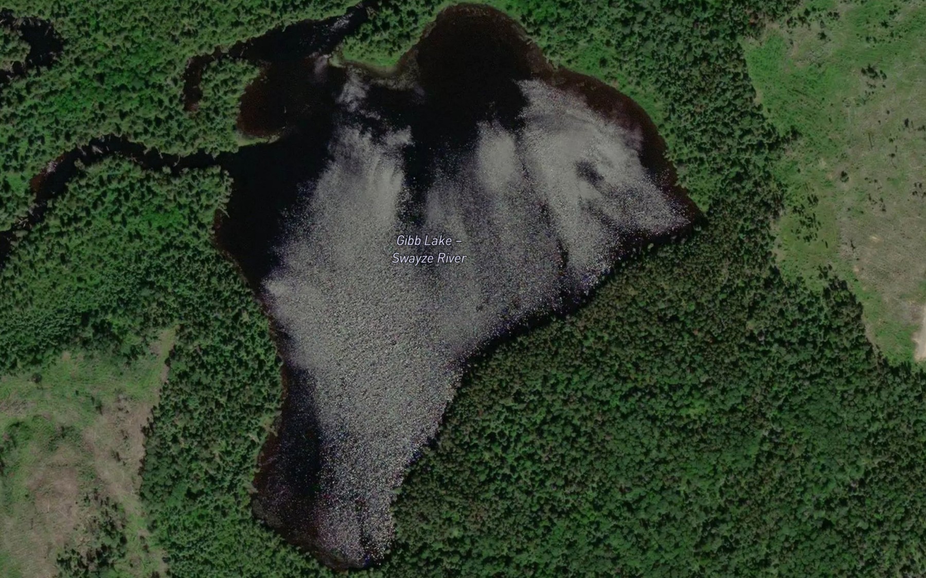 Satellite map of the Gibb Lake