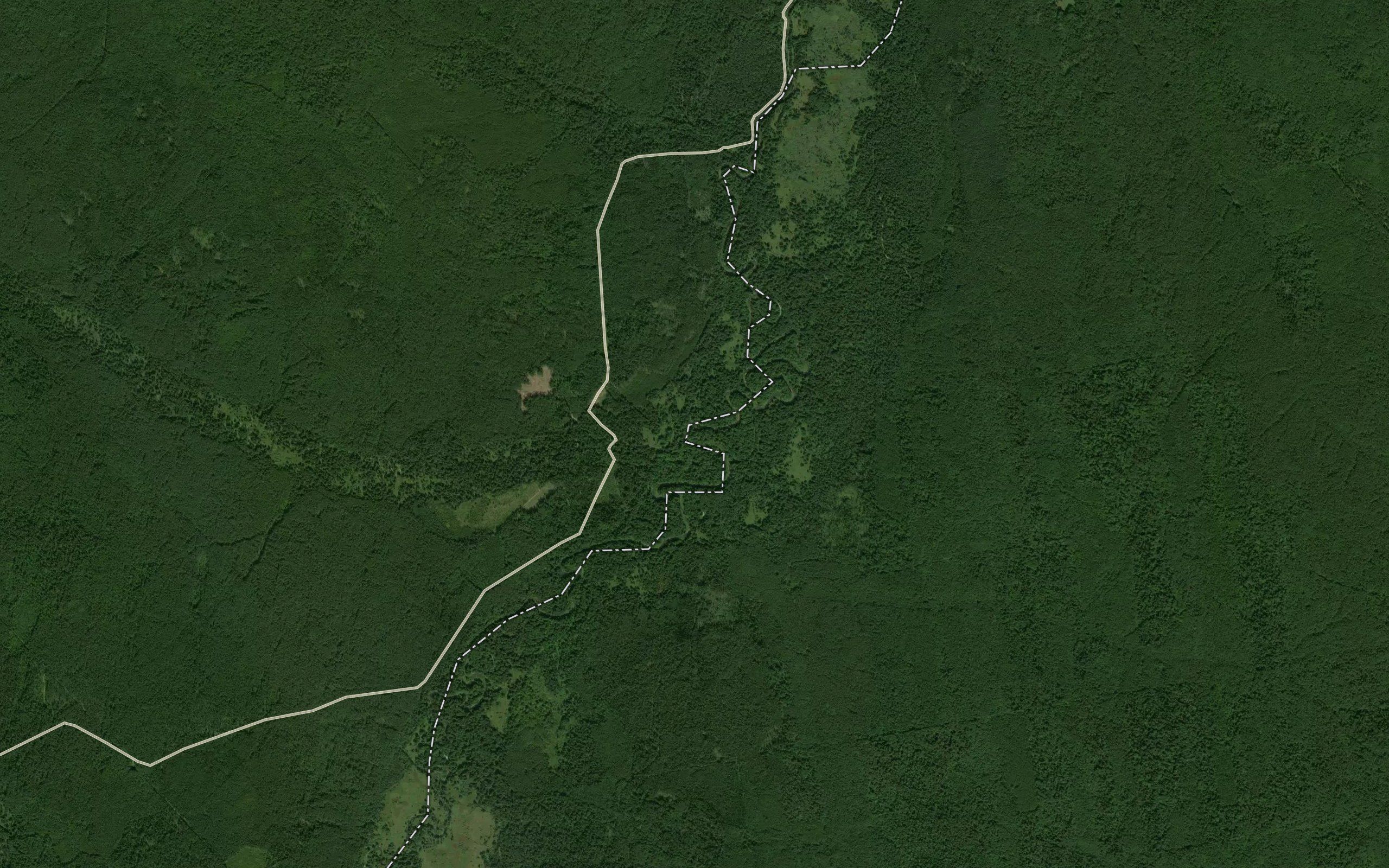 Lyutnya