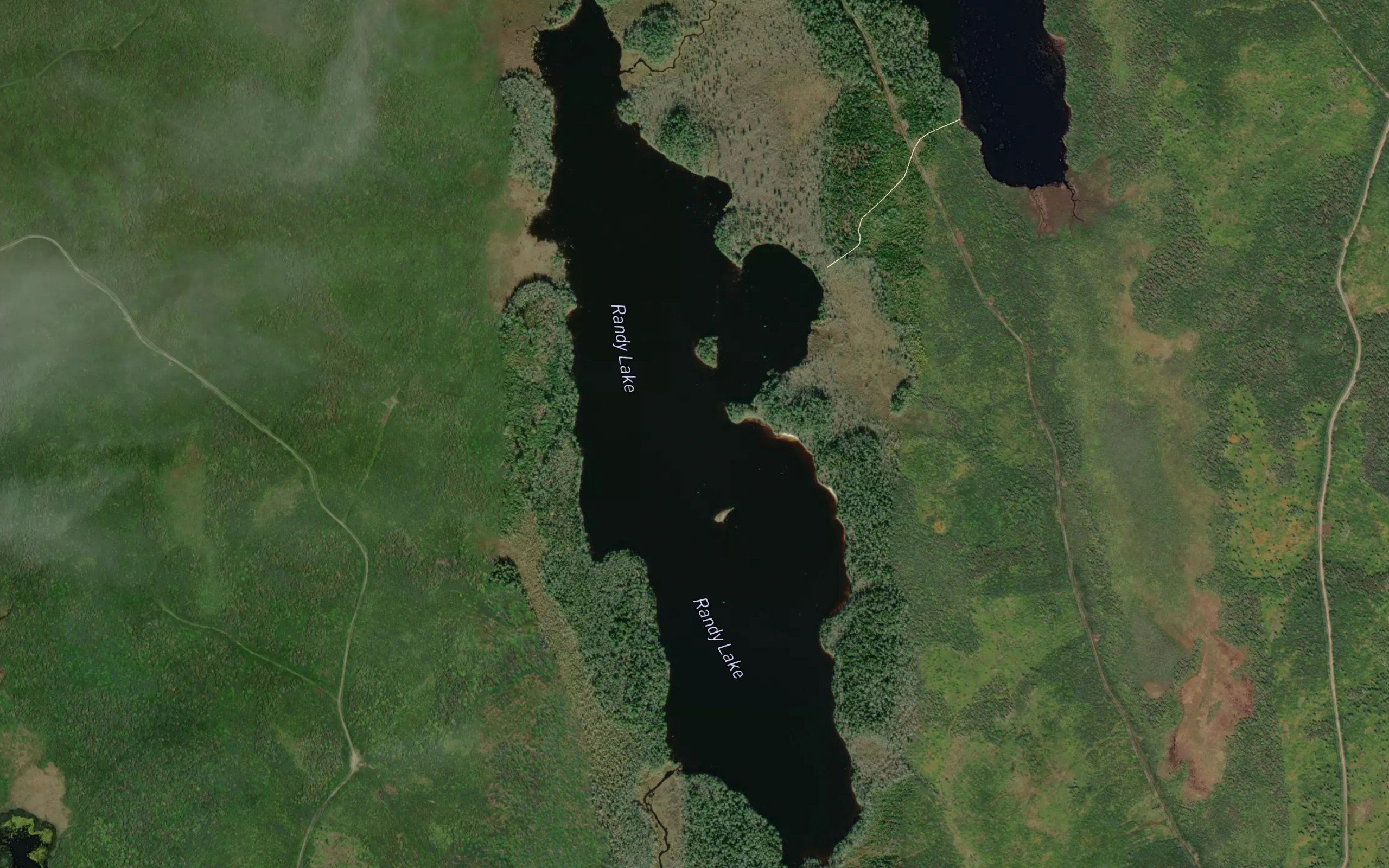 Randy Lake