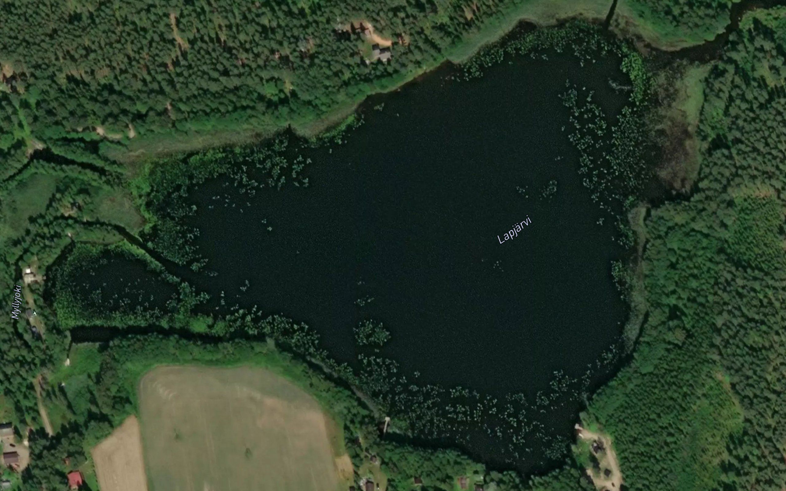 Lapjarvi