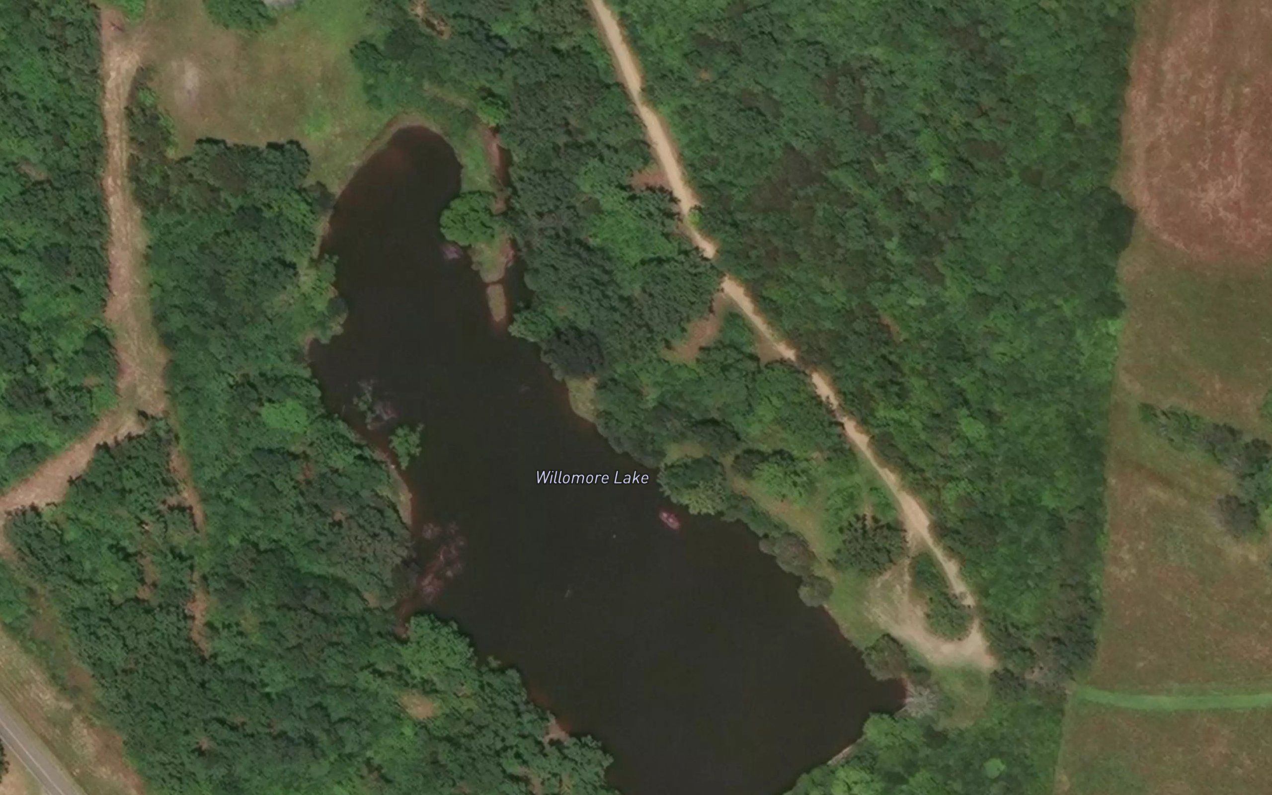 Willomore Lake