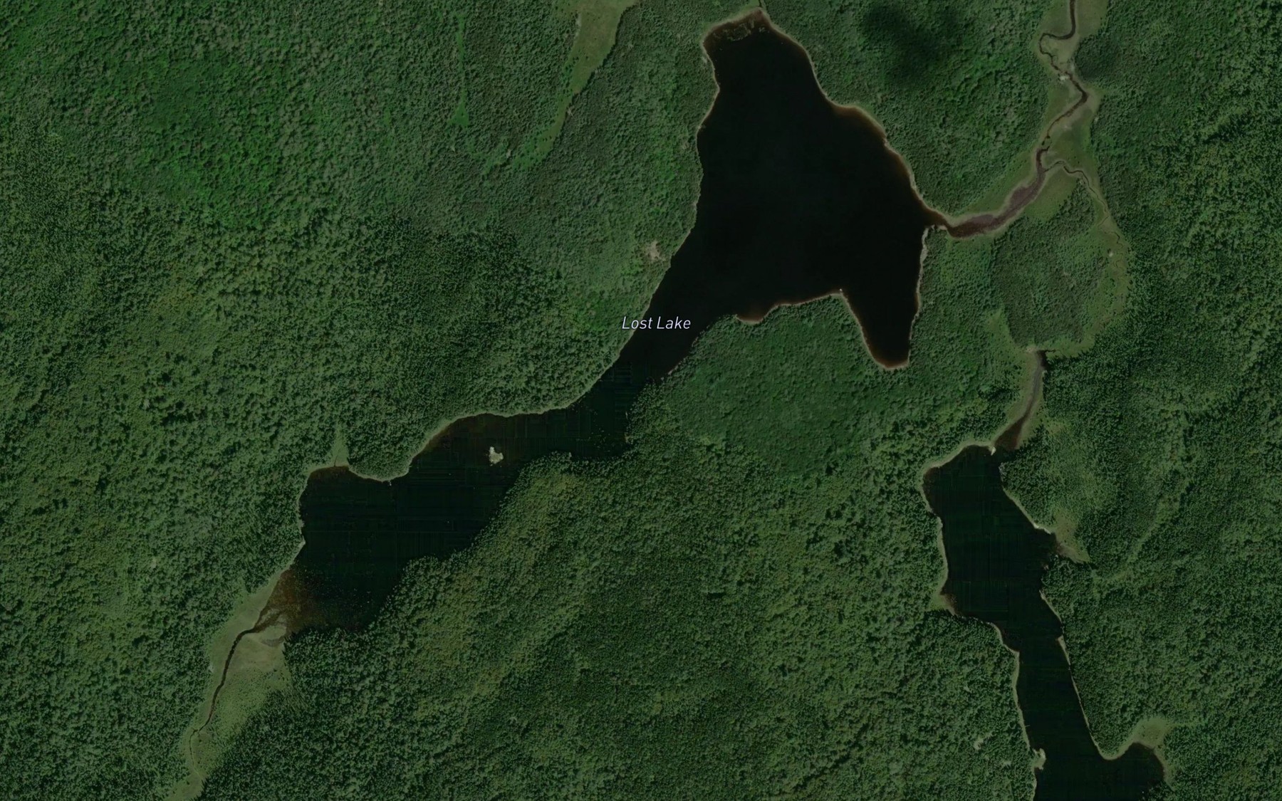 Satellite map of the Lost Lake