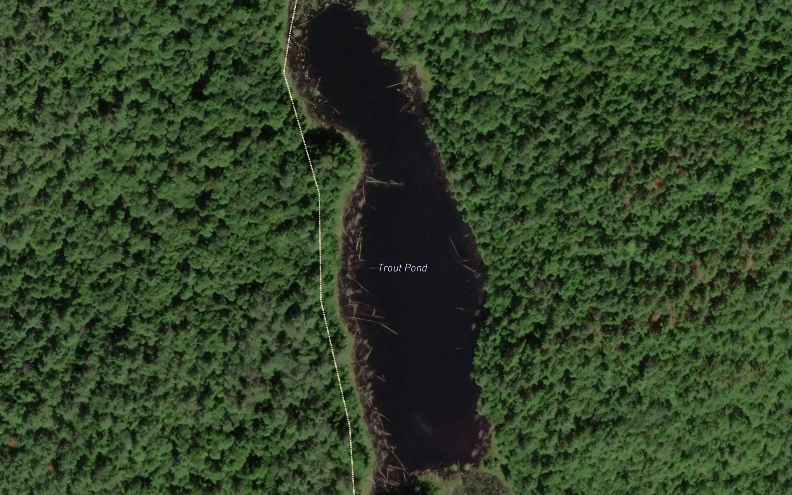 Trout Pond