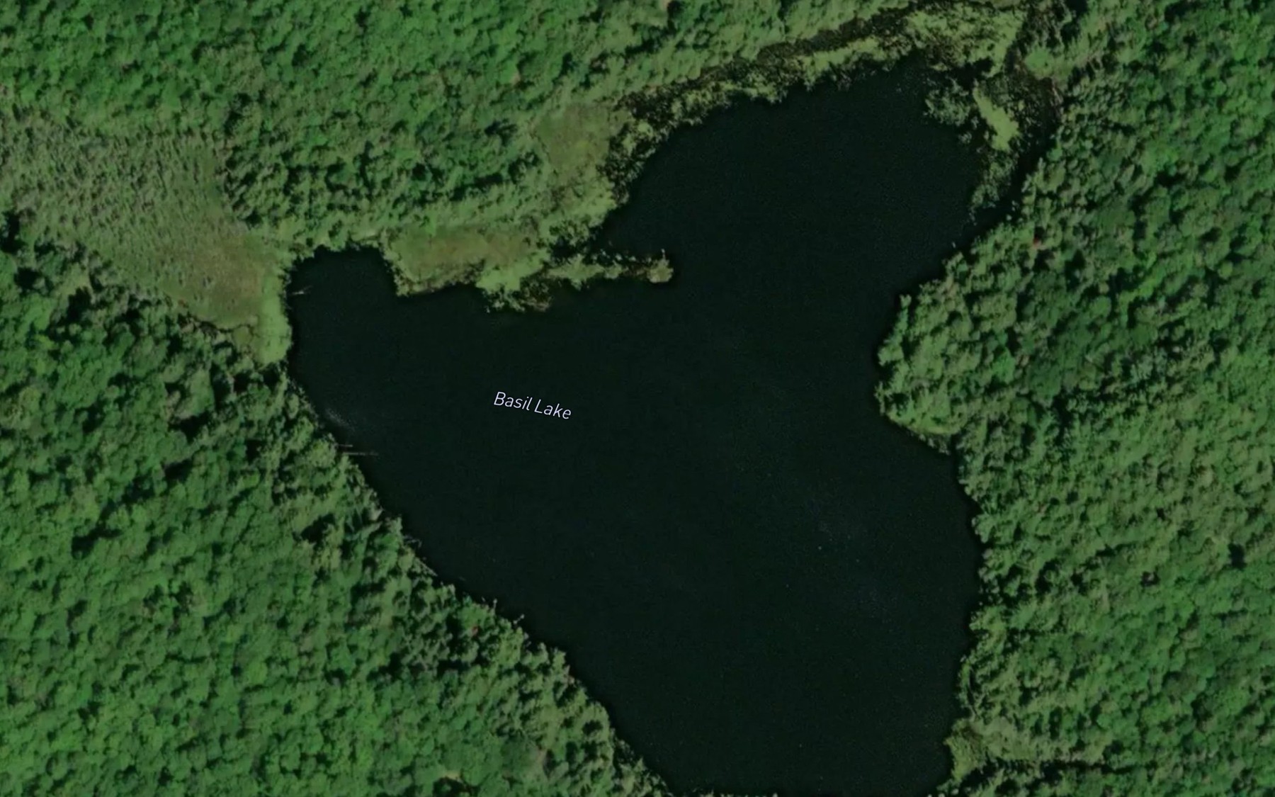 Satellite map of the Basil Lake