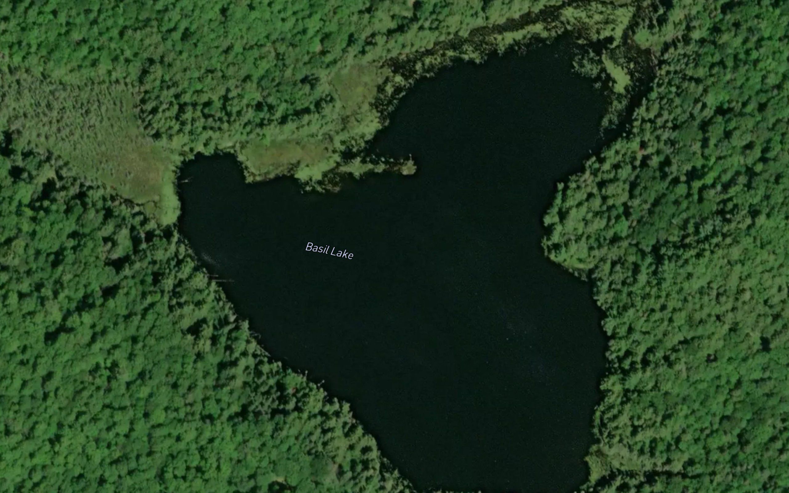 Basil Lake