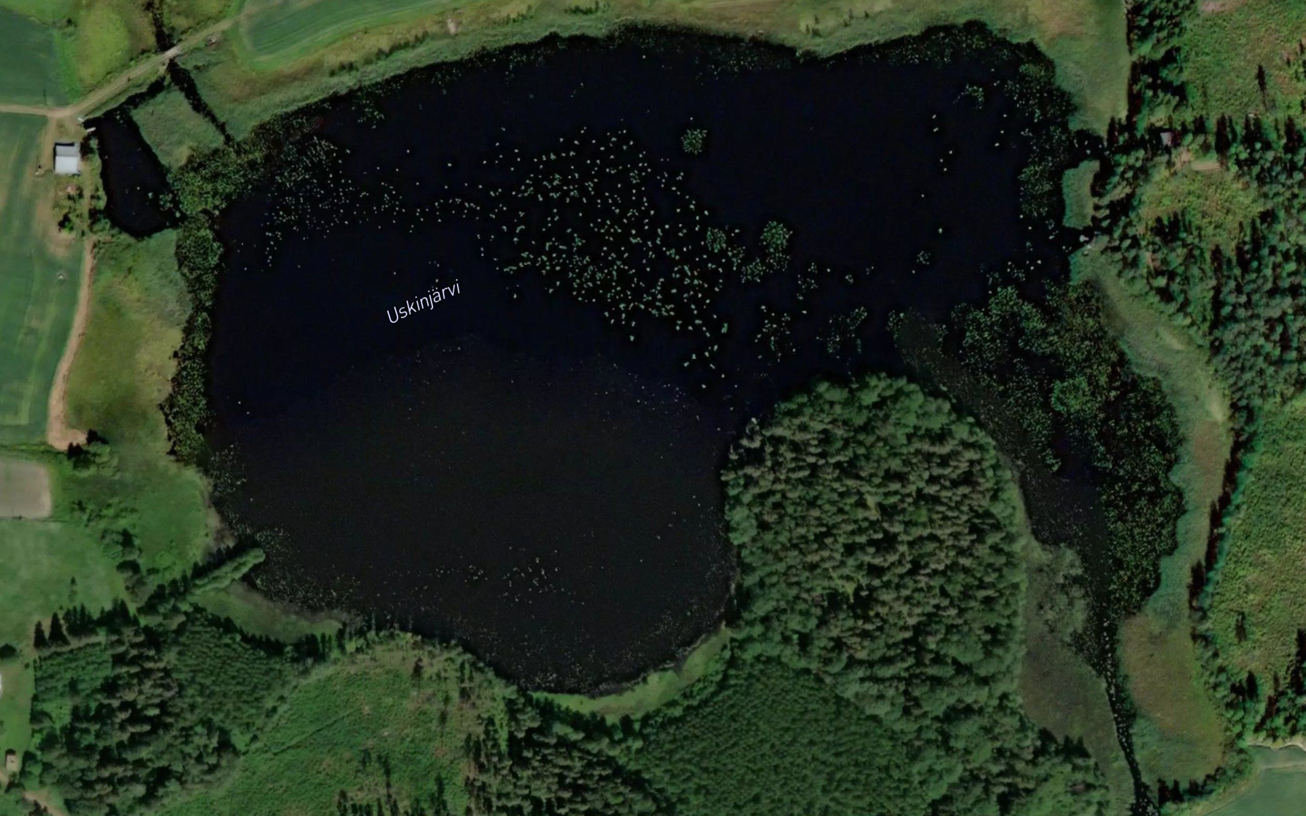 Uskinjarvi