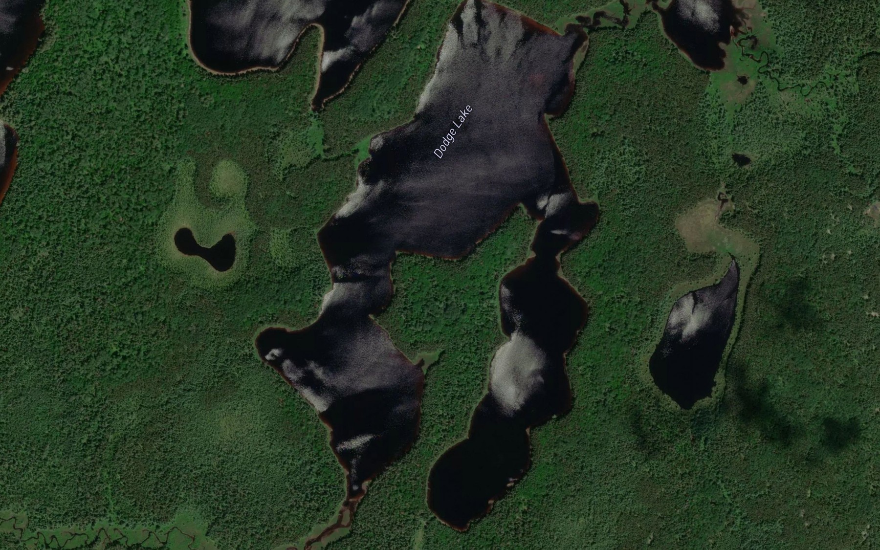 Satellite map of the Dodge Lake