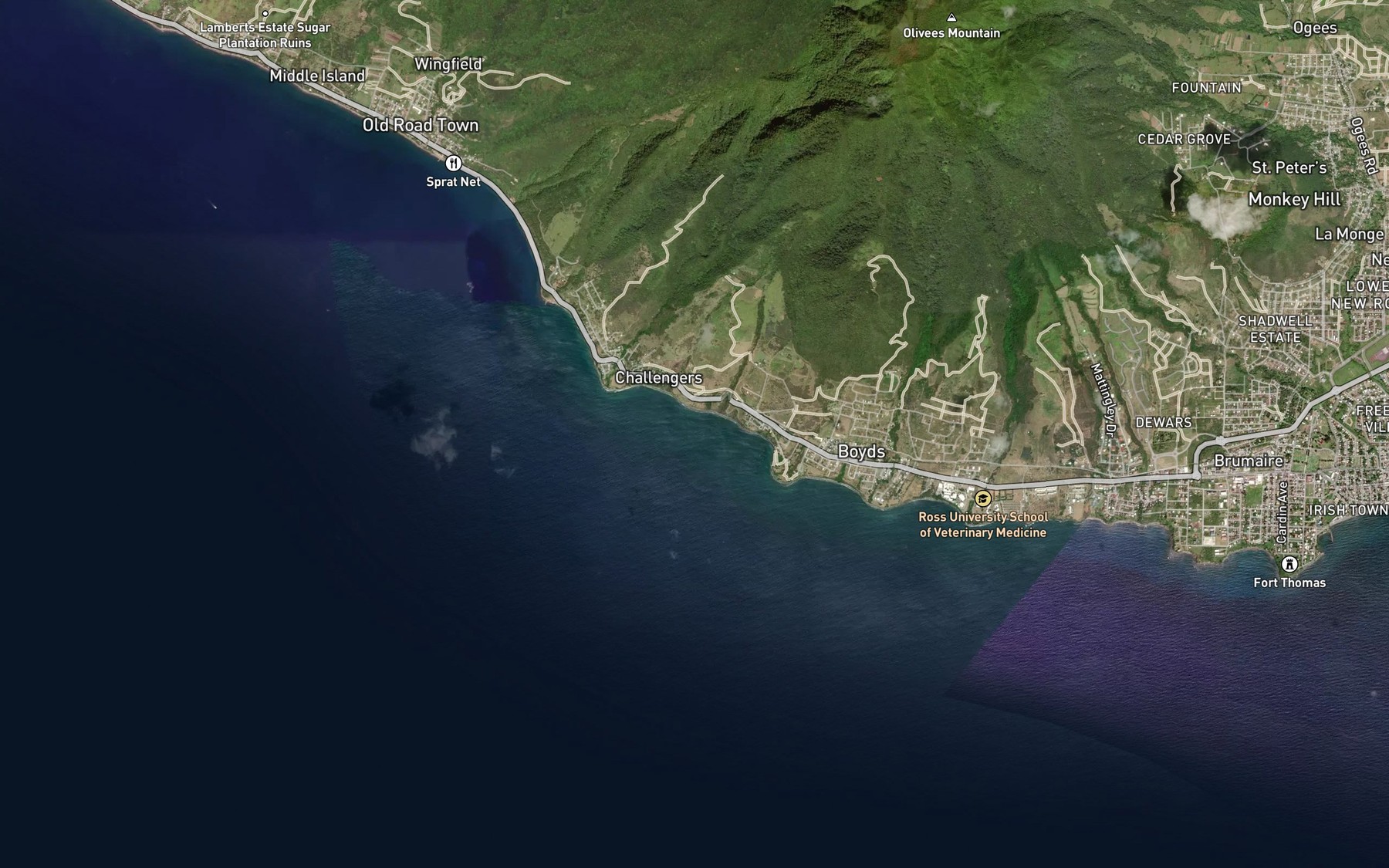 Satellite map of the Palmetto Bay