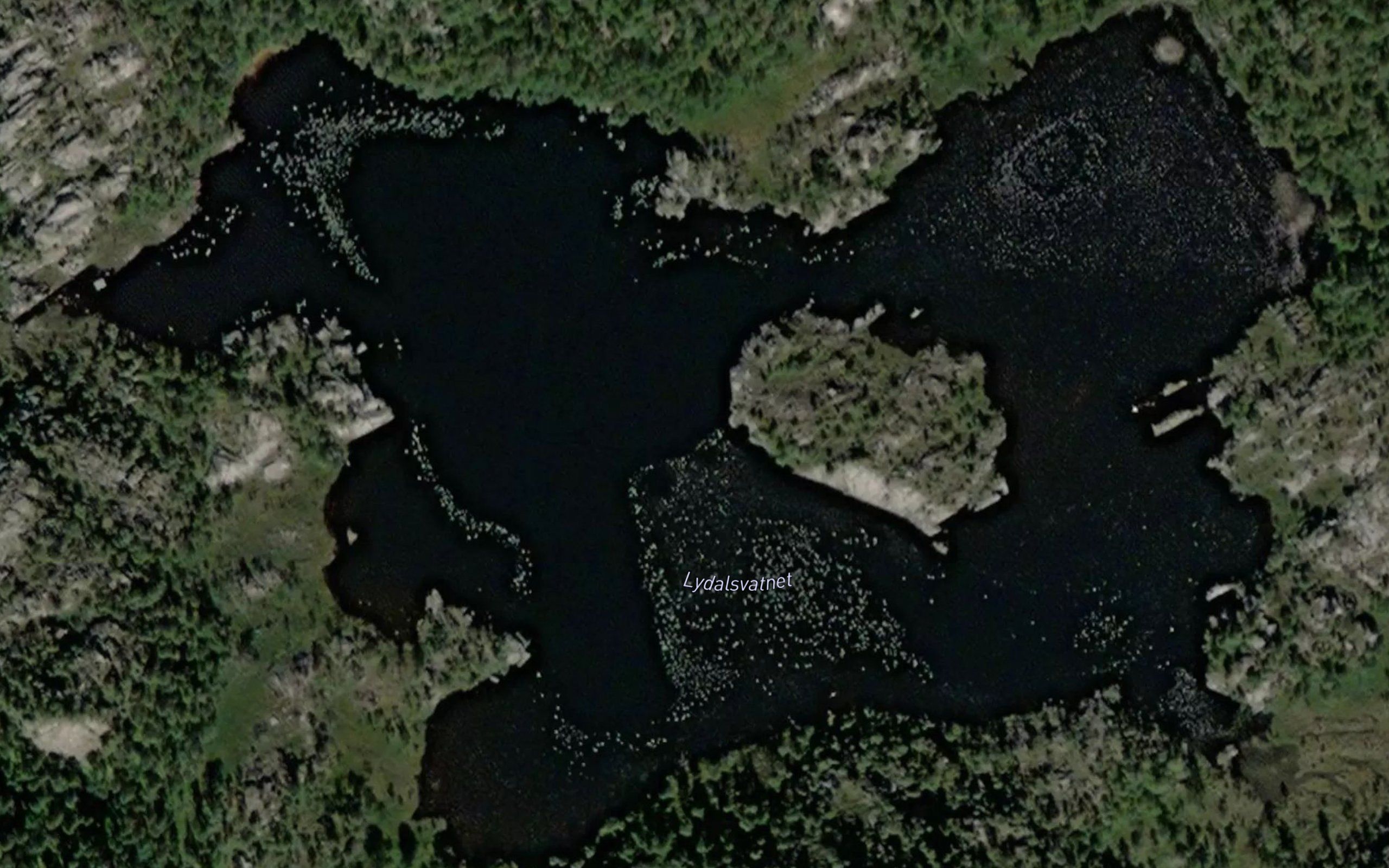 Lydalsvatnet